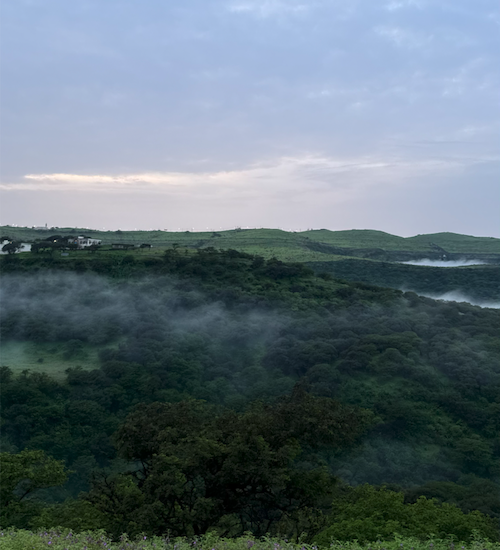 Oman’s Summer Secret: The Green Escape 🌧️🌿