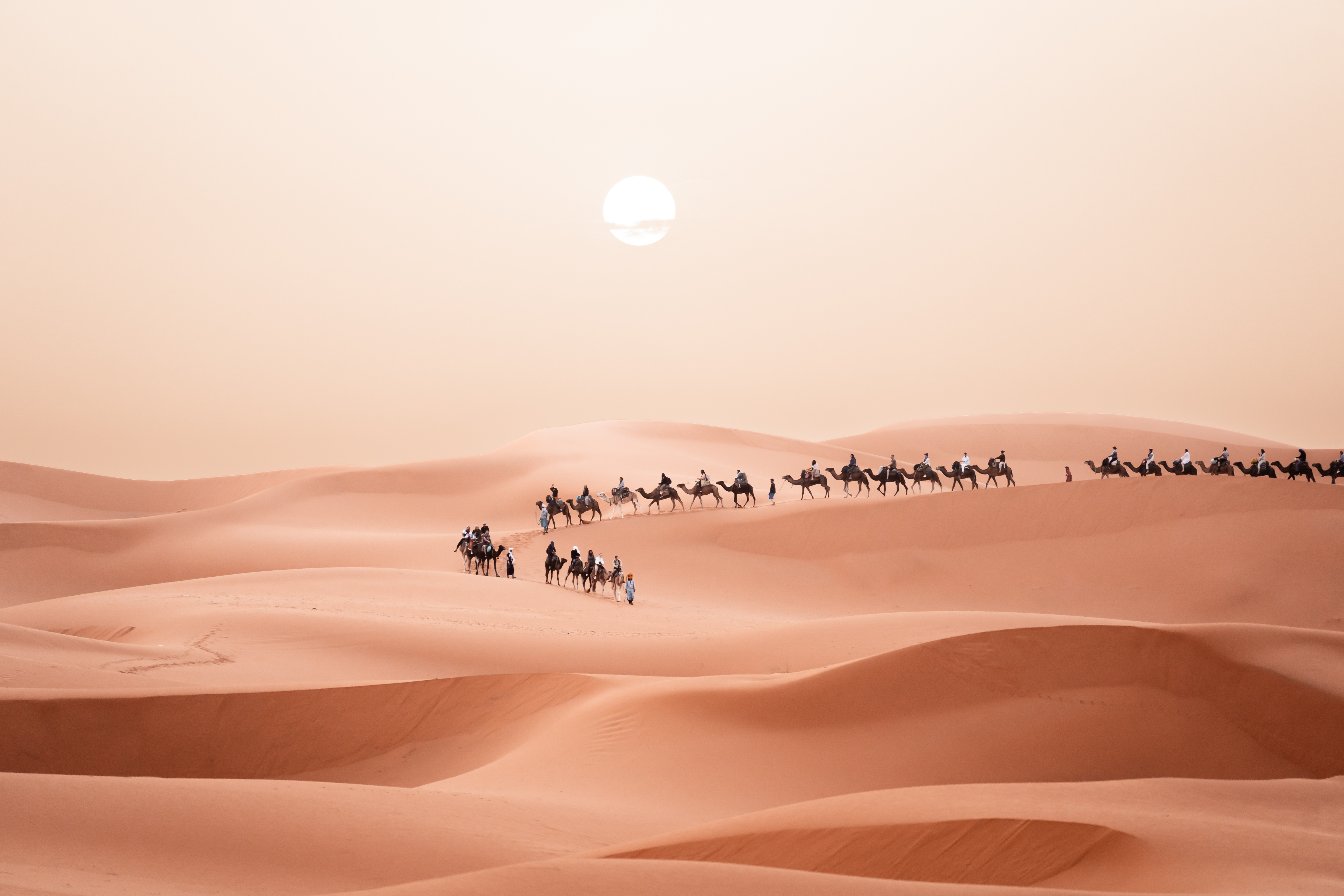 Luxury Desert Experience in Oman🐪