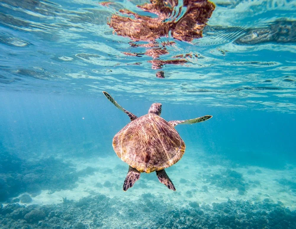Eco-Tourism Oman
