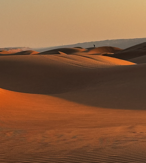 Bedouin and Desert Expedition Trip