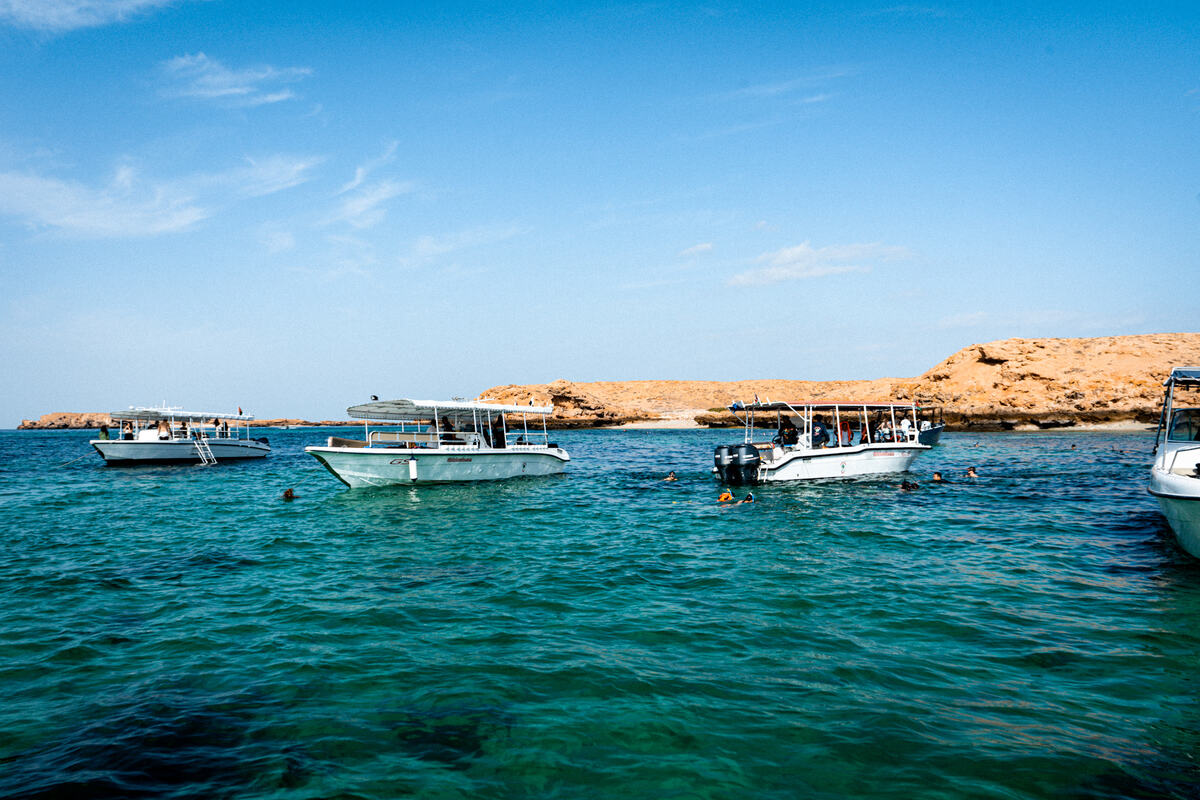 Coastal Recovery photo