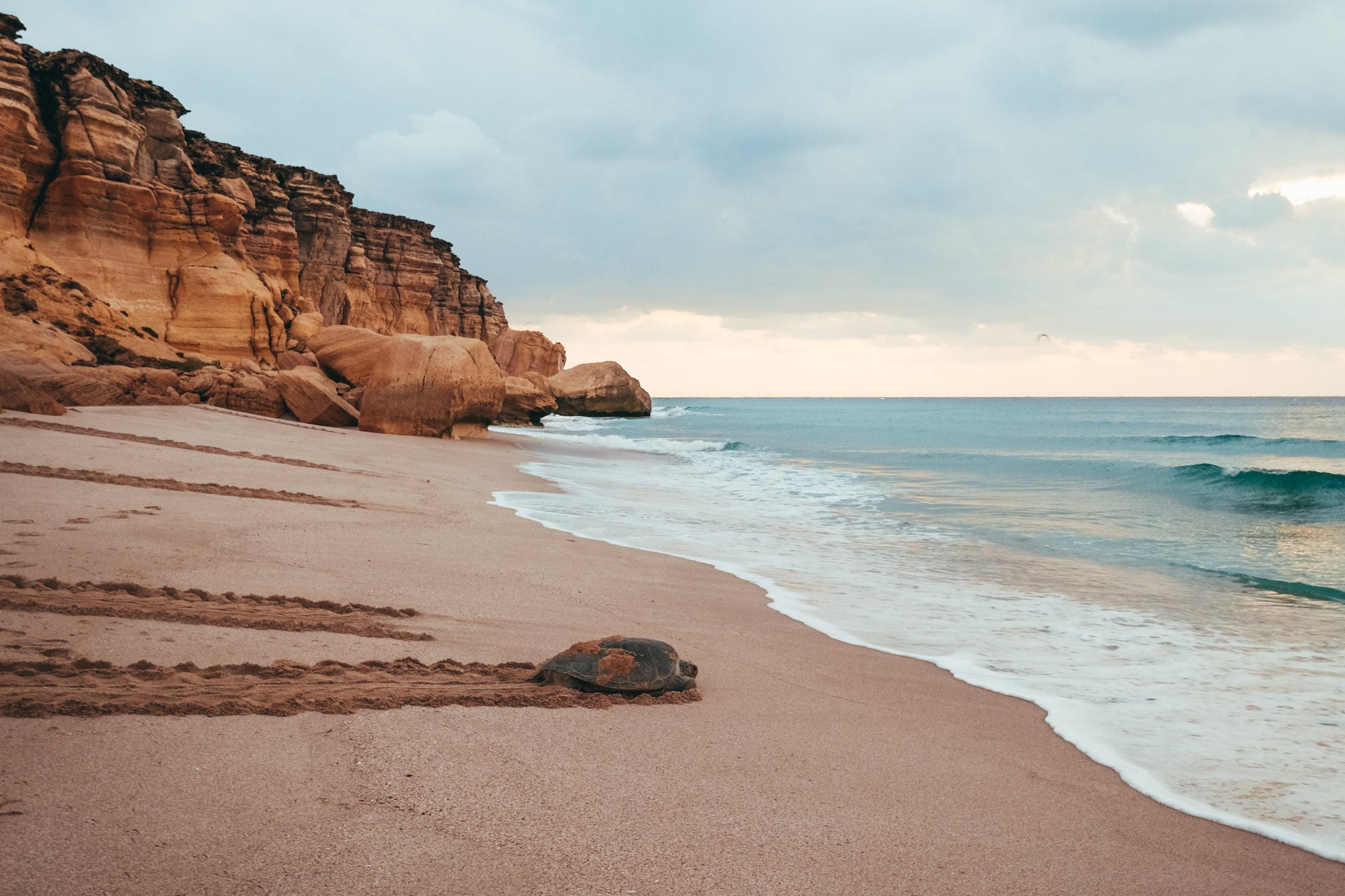 From Dunes to the Deep Blue photo