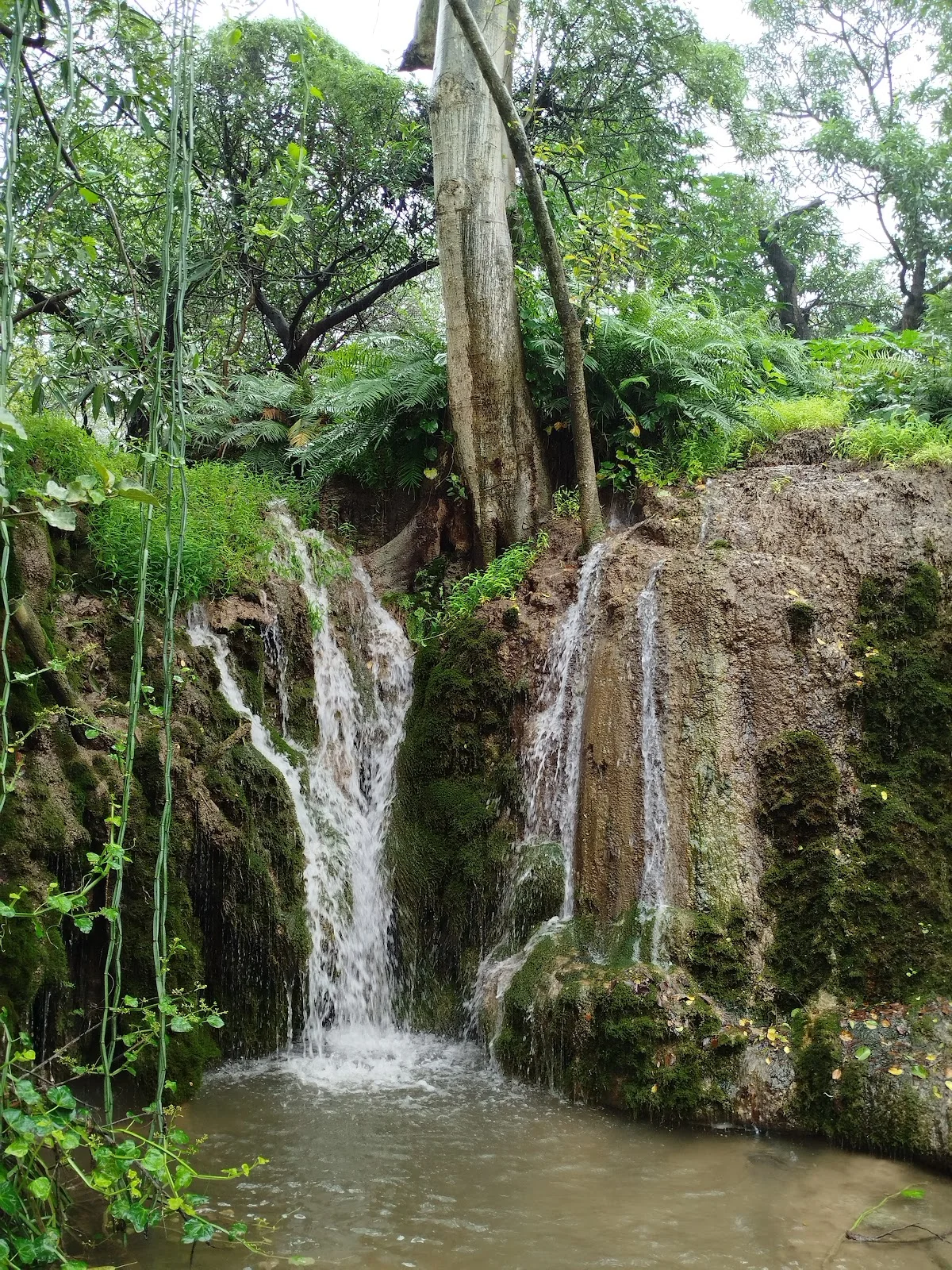 Mountain Springs Tour photo