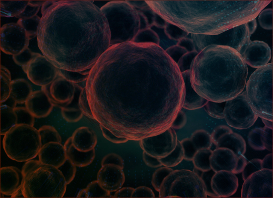 Single Cell RNA-Seq