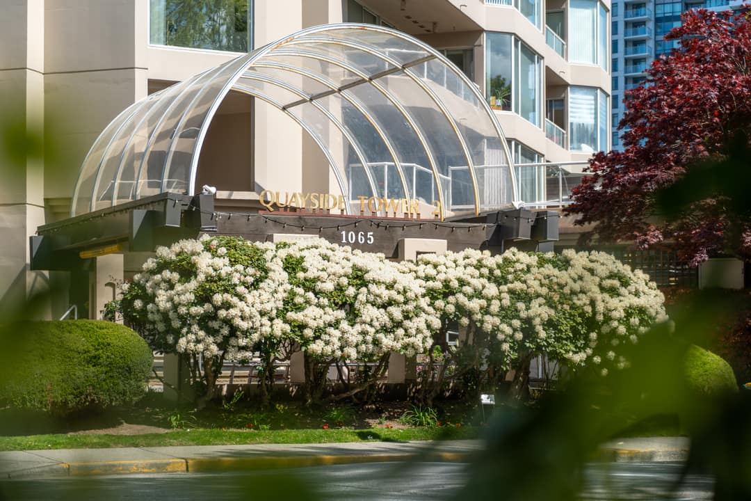 Building exterior framed through foliage, capturing the address signage and landscaped entry in soft afternoon light.