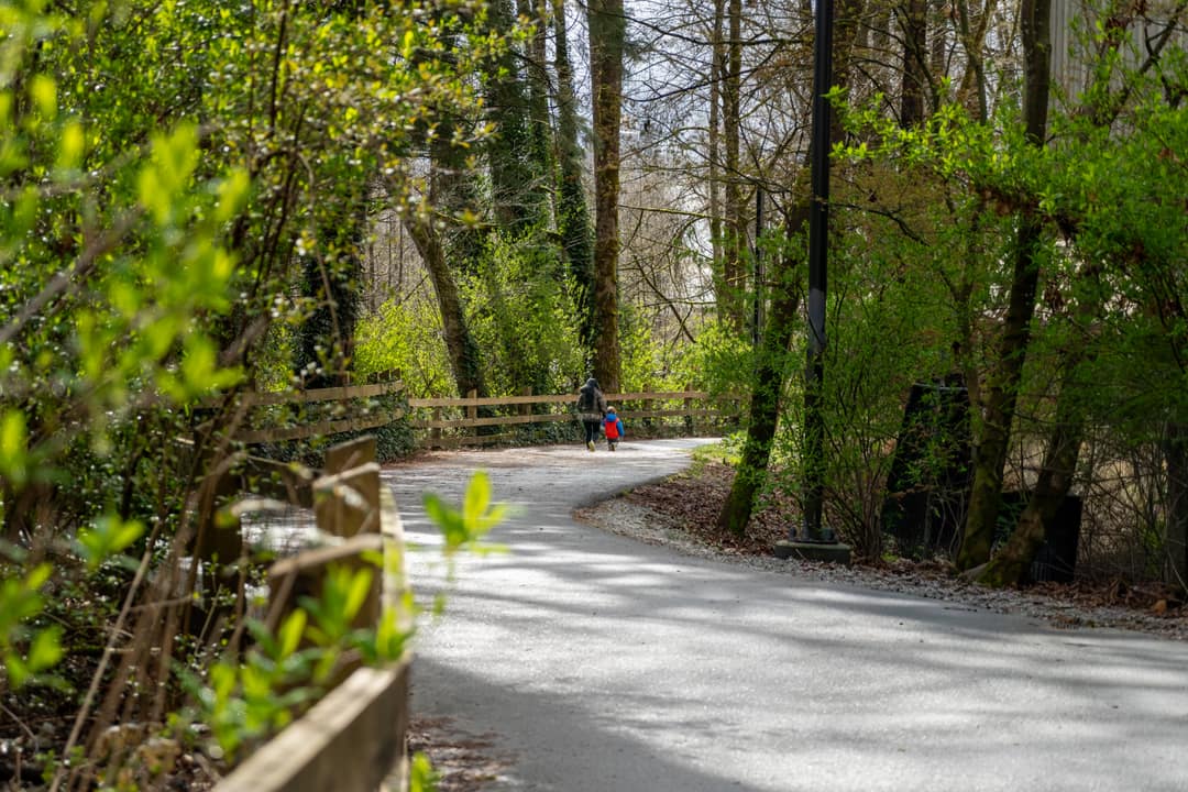 Professional lifestyle photography of a paved walking path through a dense, green forest at Seylynn Village in North Vancouver, showcasing local neighborhood amenities and natural surroundings.