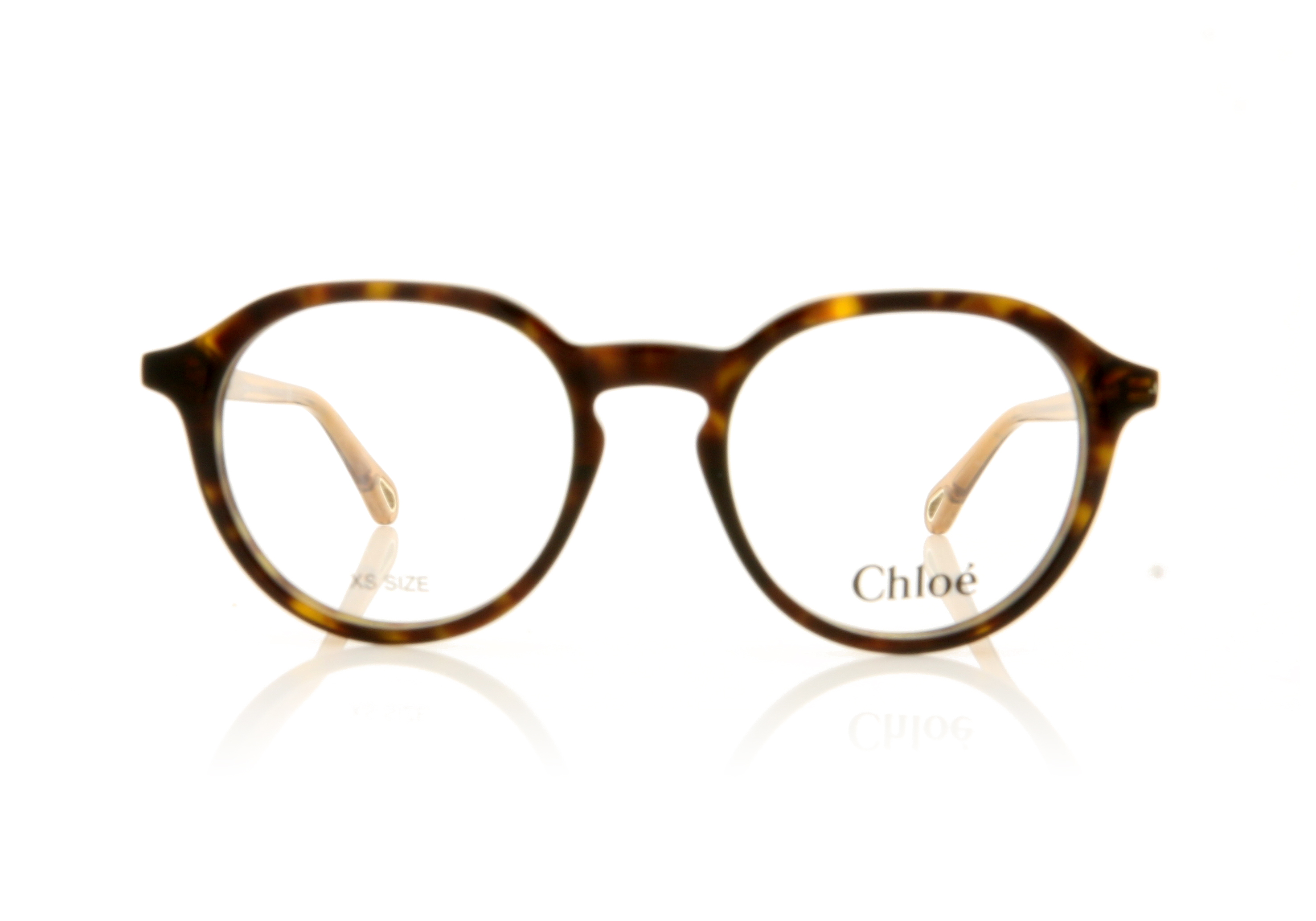 Chloé CH0012O 12 Havana 4 Glasses