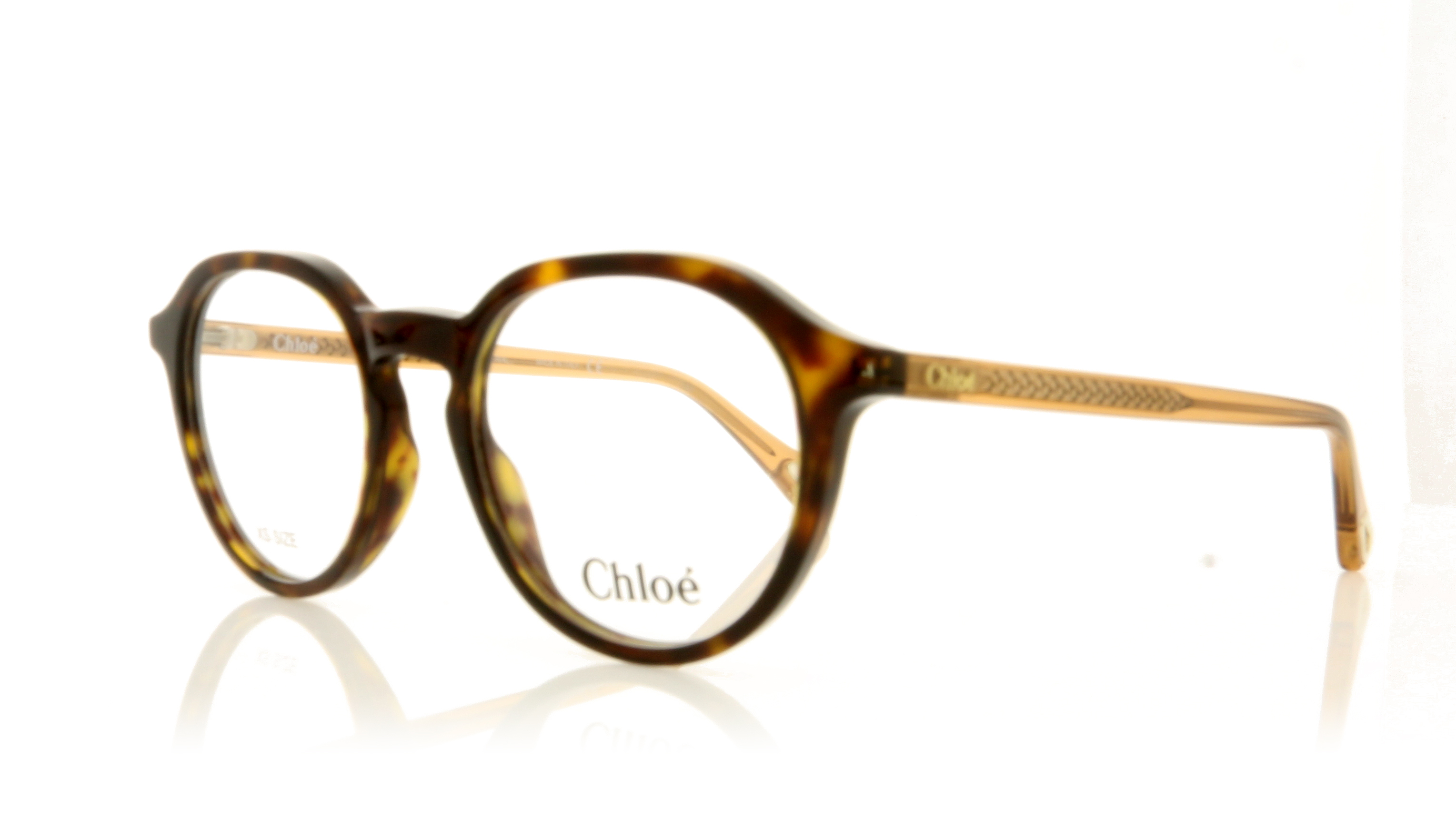 Chloé CH0012O 12 Havana 4 Glasses