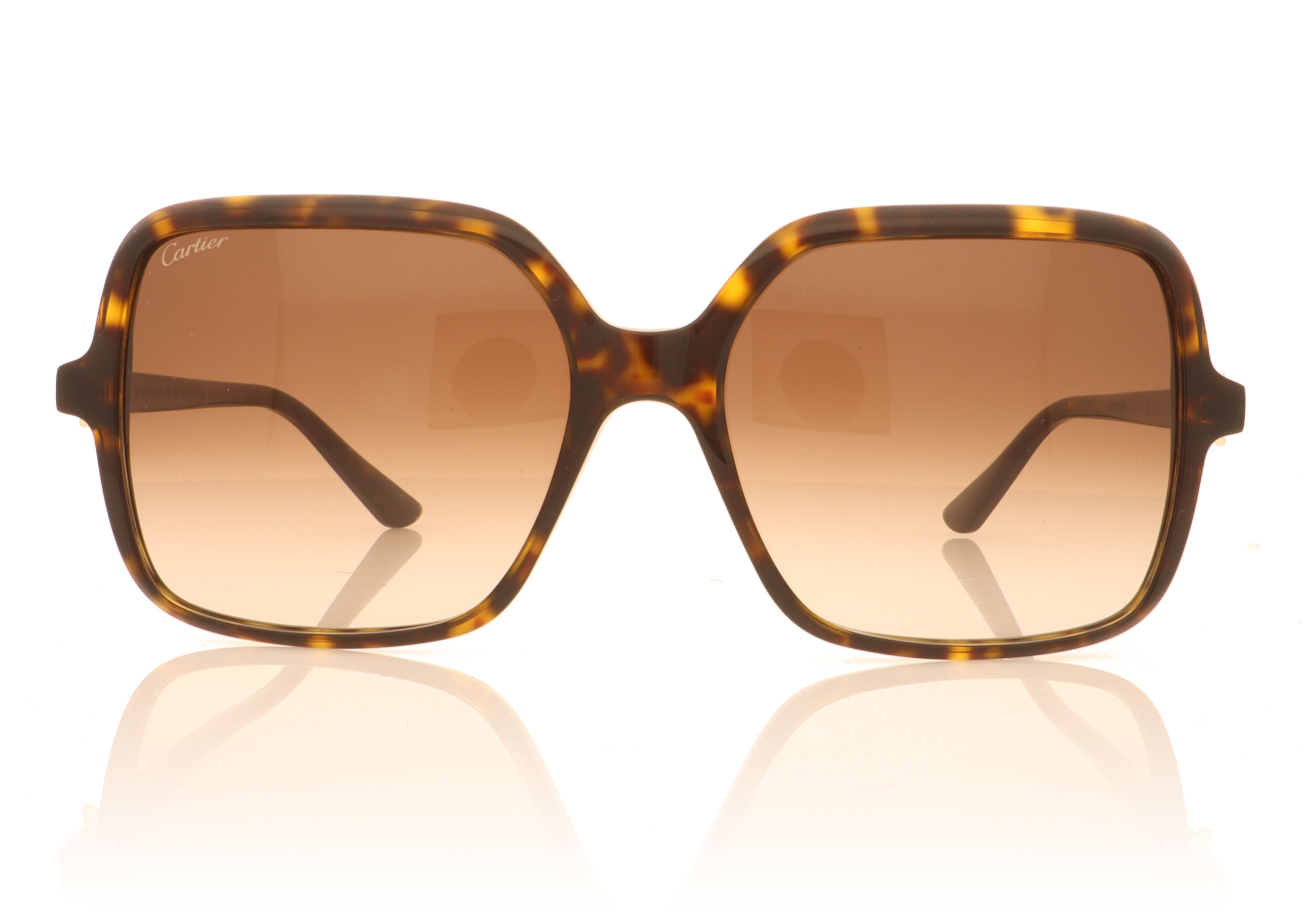 Cartier CT0219S Havana 002 Sunglasses