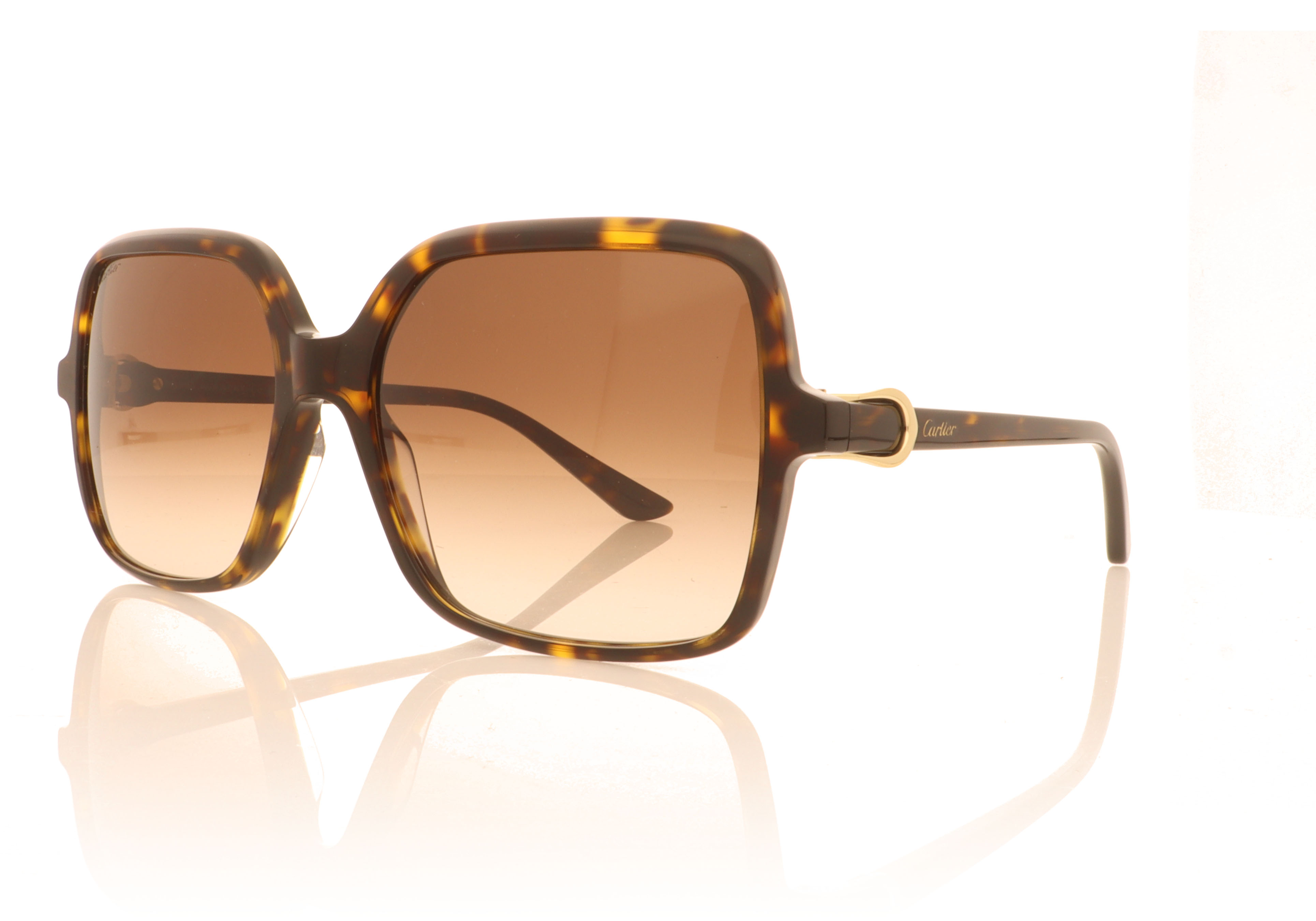 Cartier CT0219S Havana 002 Sunglasses
