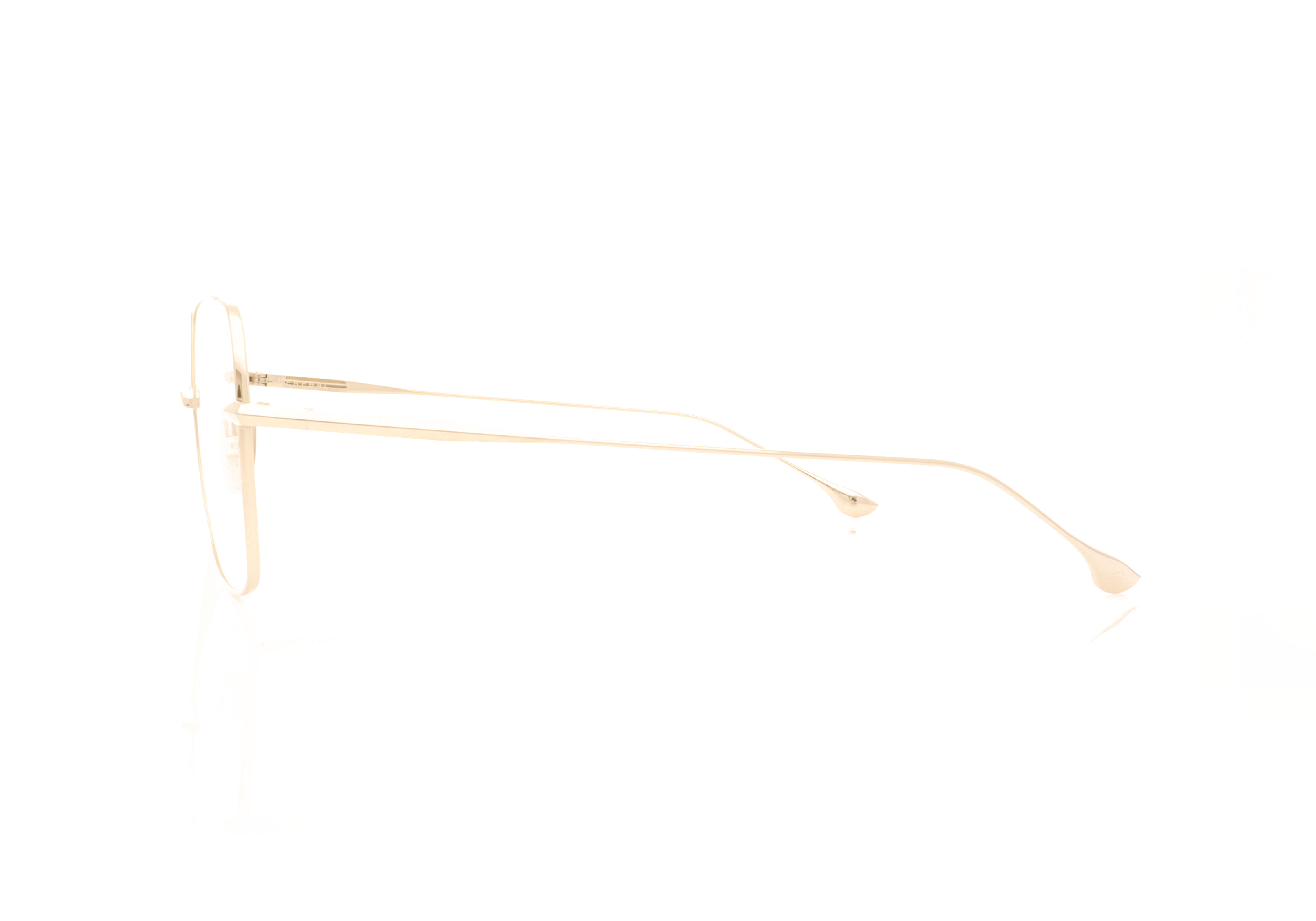 DITA Cerebal DTX523 Silver 01 Glasses