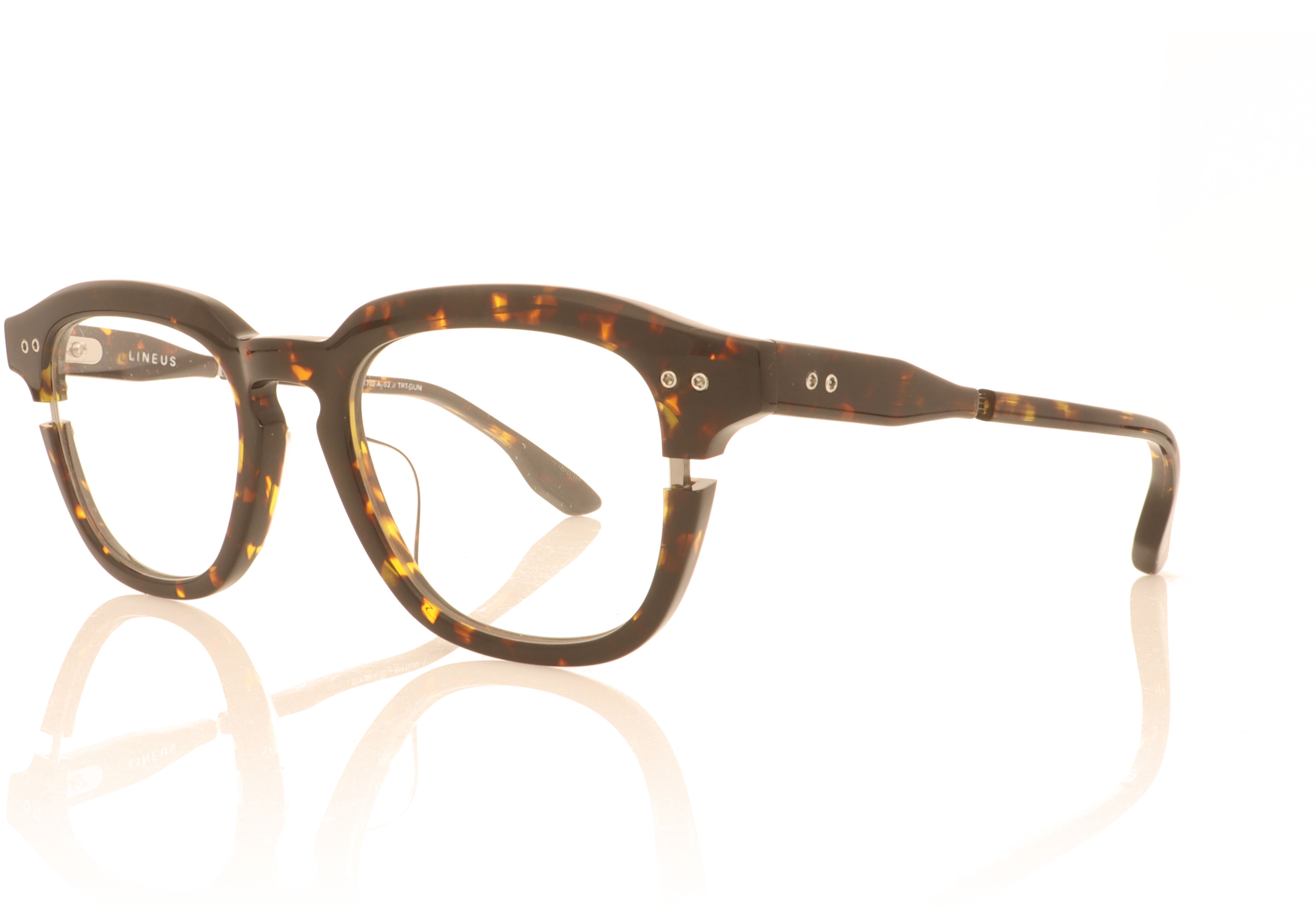 DITA Lineus DTX702 Tortoise 02 Glasses