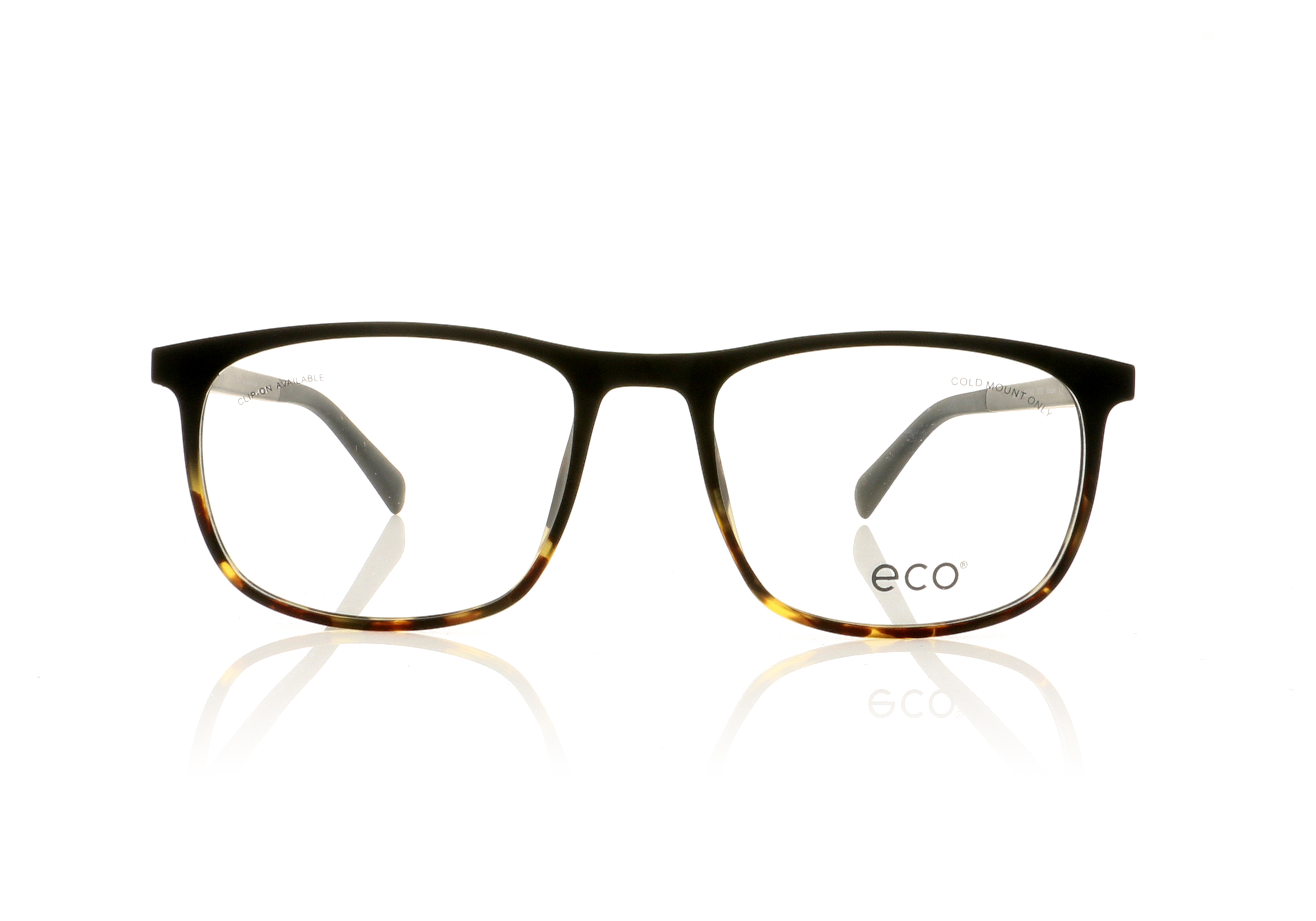 Eco Logan Biobased Logan Tortoise DTTG Glasses