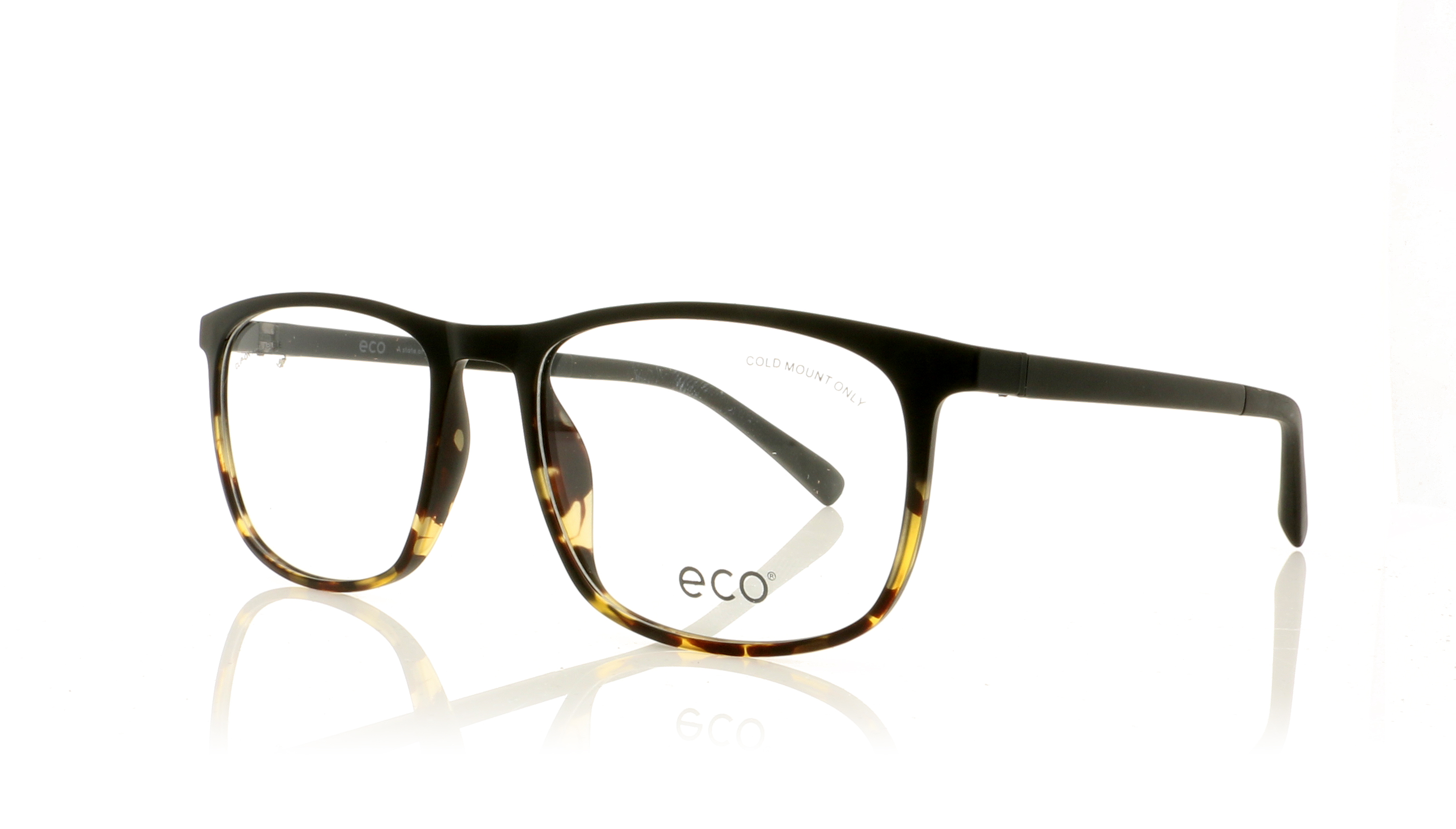 Eco Logan Biobased Logan Tortoise DTTG Glasses