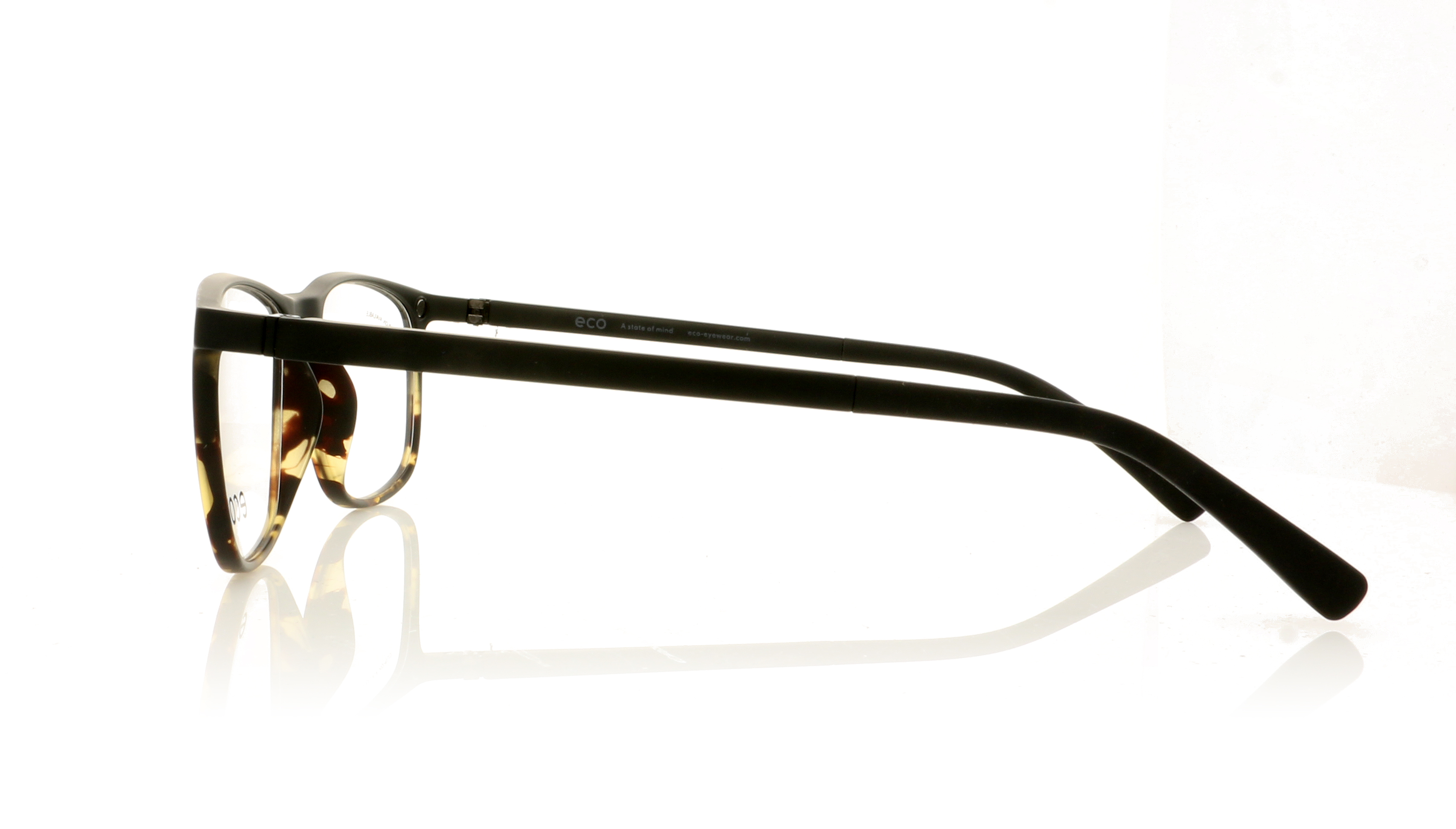 Eco Logan Biobased Logan Tortoise DTTG Glasses
