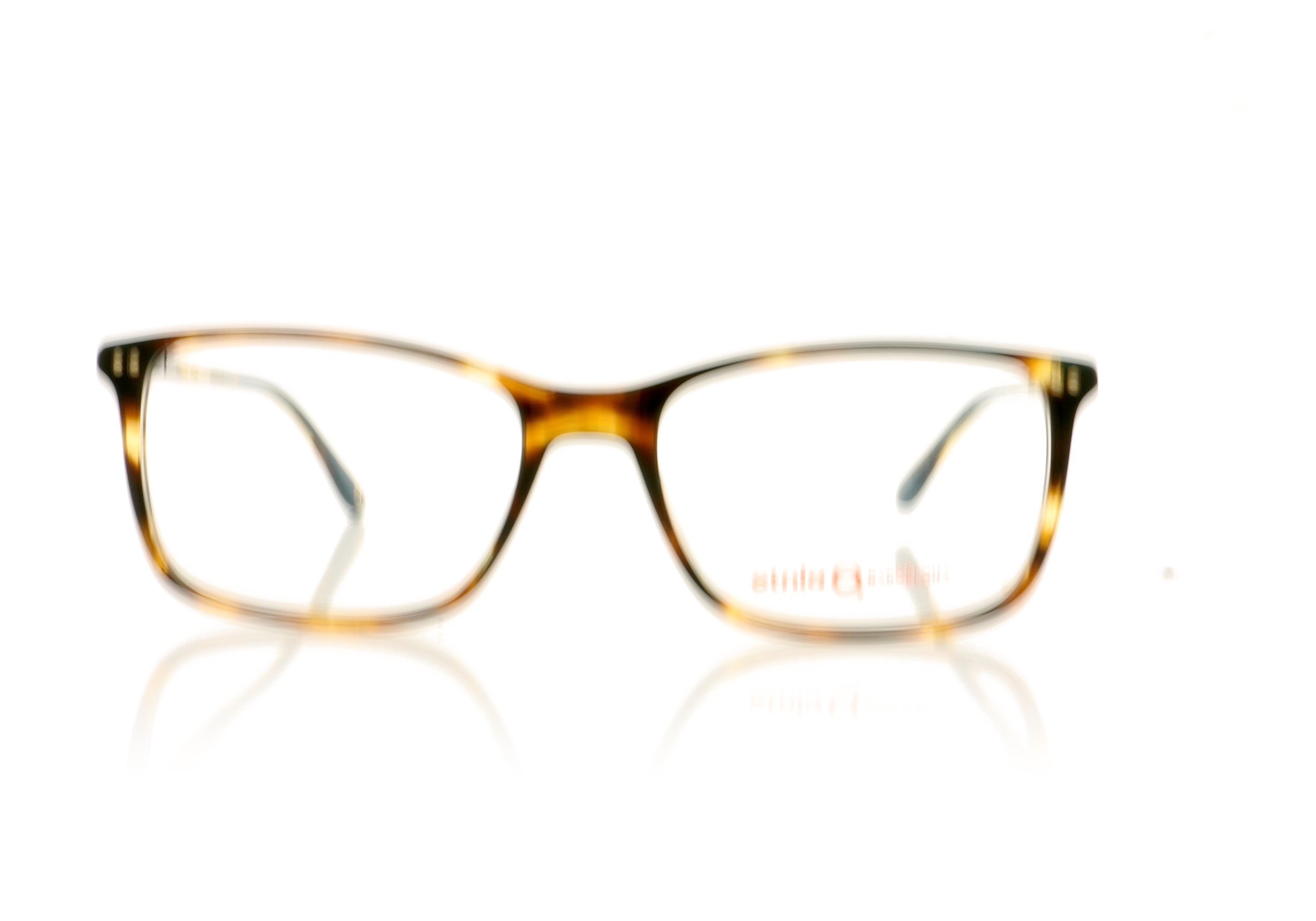 Etnia Barcelona Arizona Havana Gold HVGD Glasses