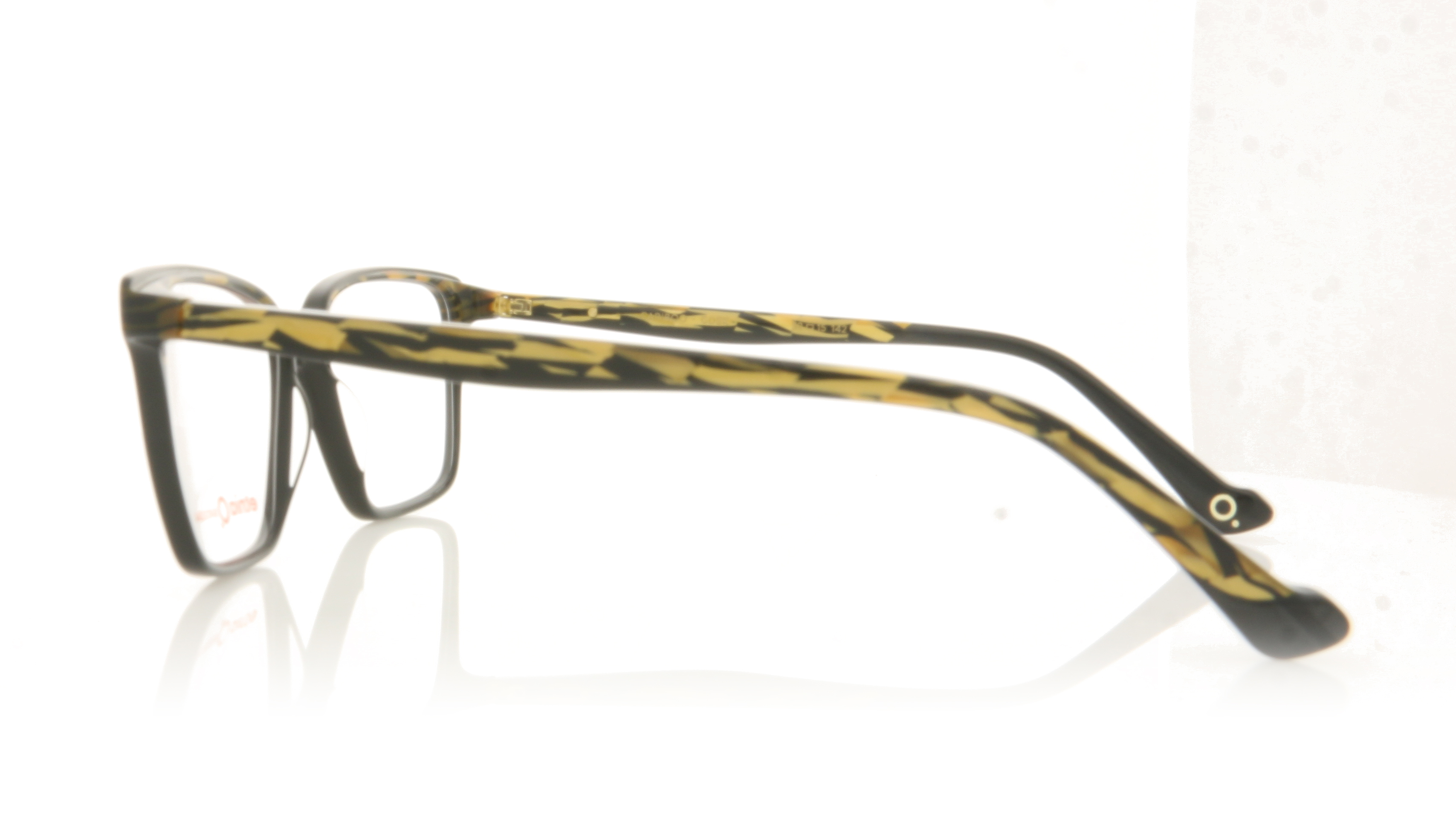 Etnia Barcelona Cariboo Golden Black GDBK Glasses