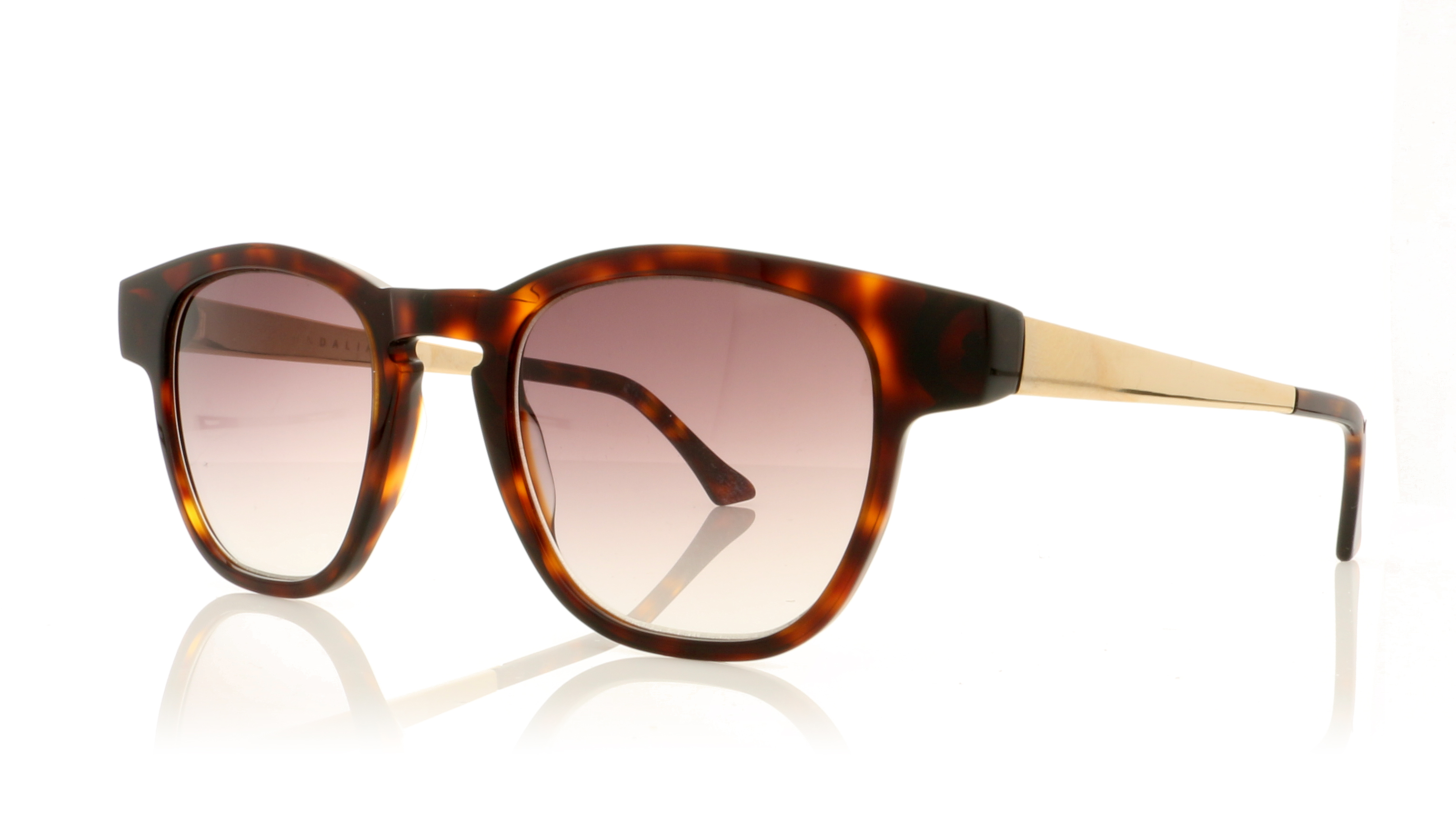 John Dalia Jack N Dark Tortoise/Grad Brown Lenses C12 Sunglasses