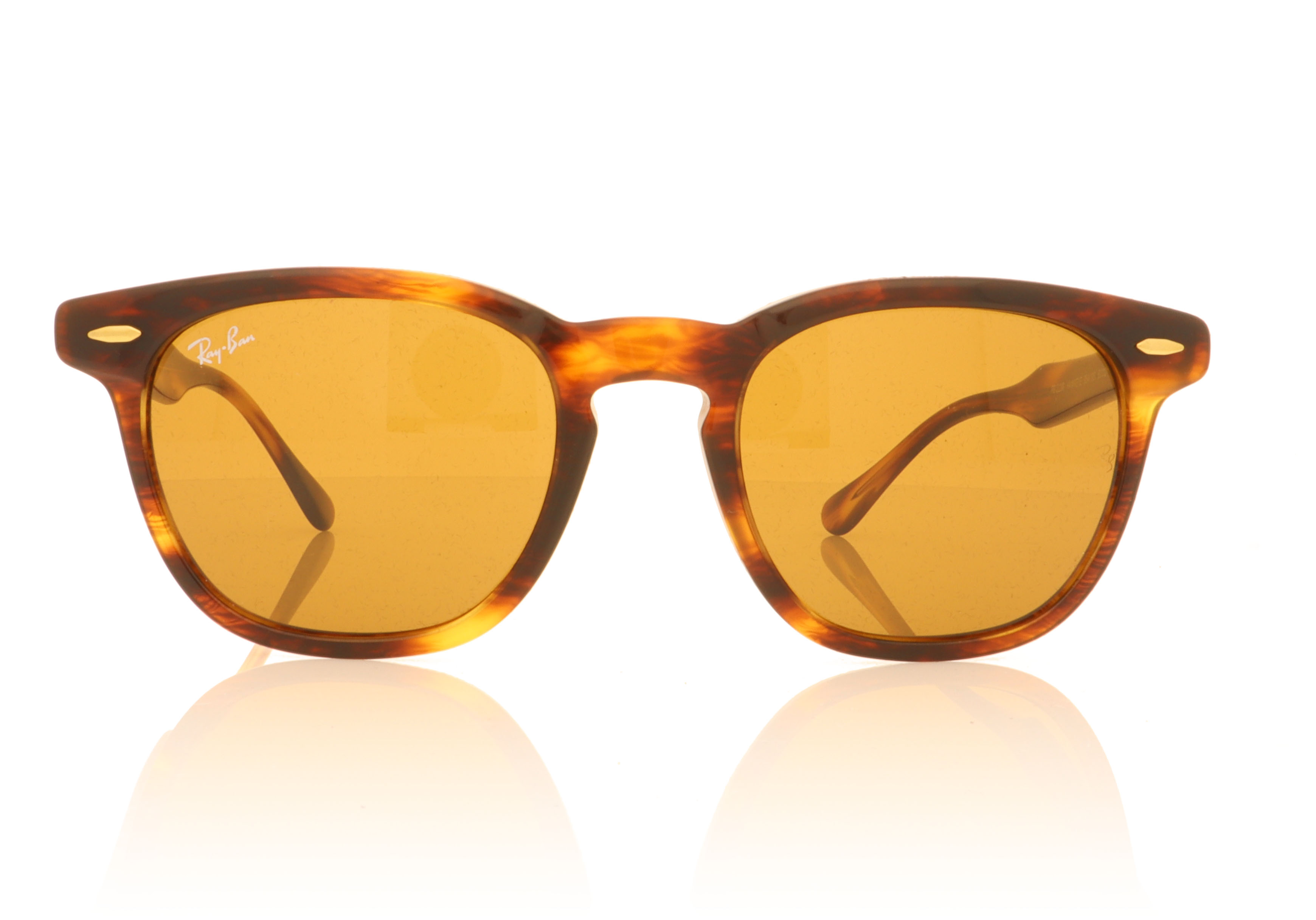 Ray-Ban RB 2298 Striped Havana 954/33 Sunglasses