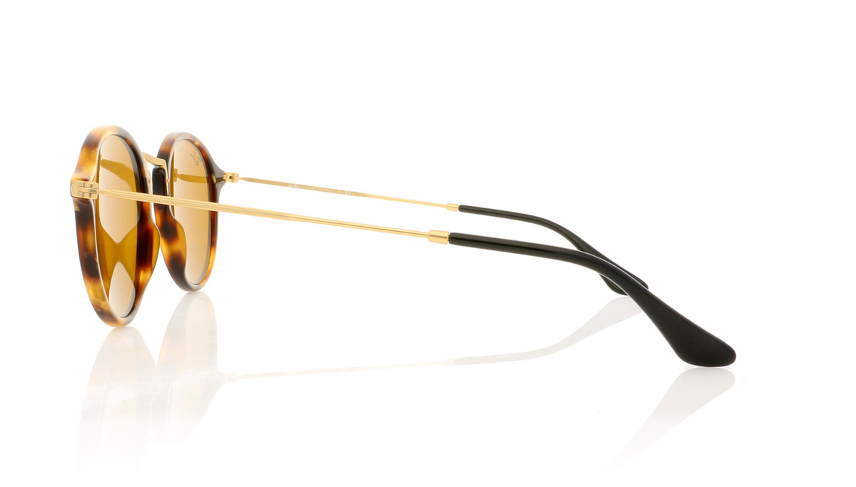 Ray-Ban ROUND RB2447 Brown Havana 1160 Sunglasses