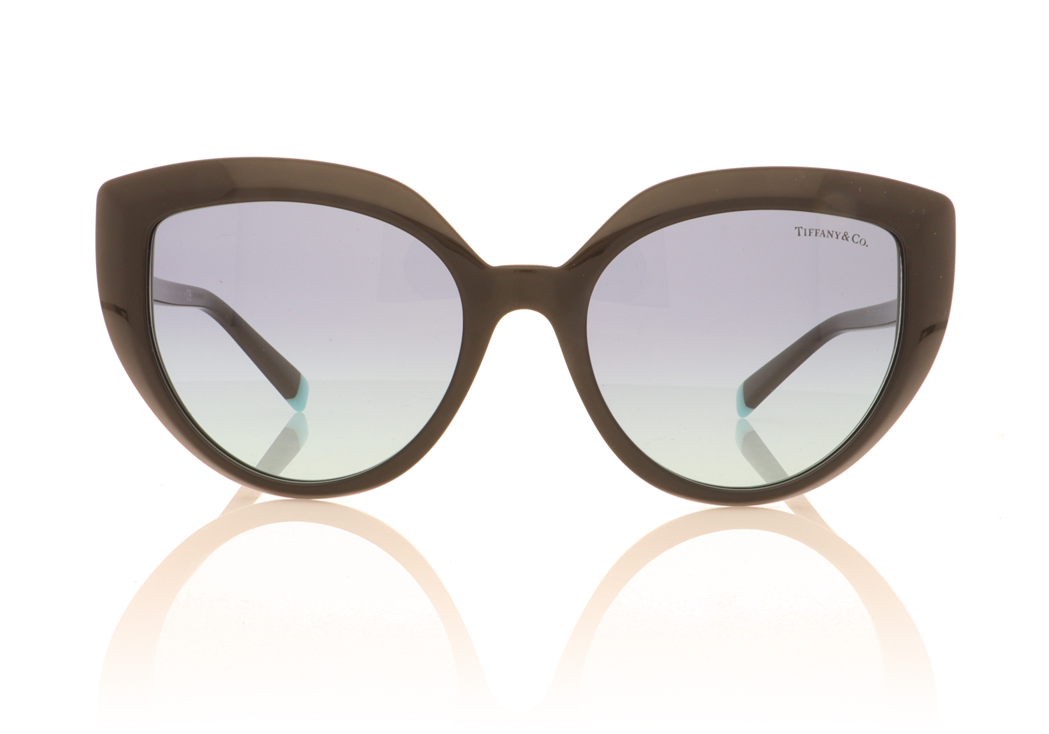 Tiffany 0TF4170 Black 80019S Sunglasses