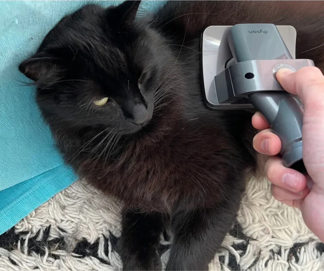 Image of an excited Pet care On Me gift card recipient. Their thank you note is below.