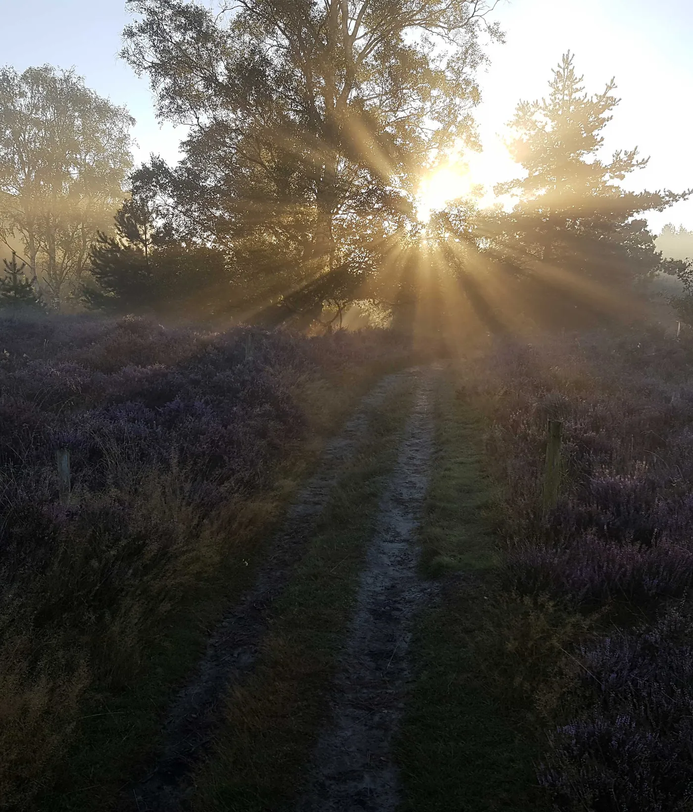 Camping en Kampeerboerderij 't Boerenerf in Woudenberg