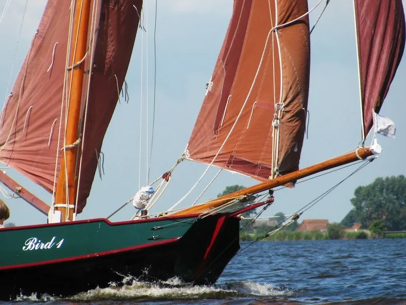 Exclusief Zeilinstituut De Bird in Heeg