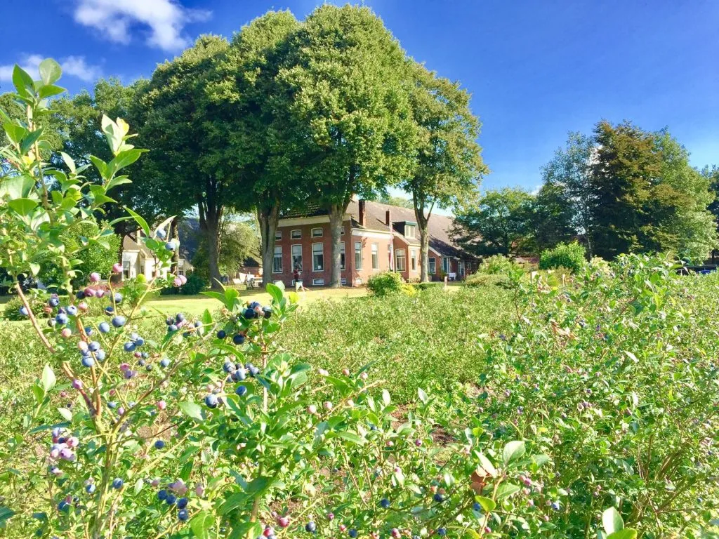 De Blauwe Bessen Boerderij in Gasselternijveen