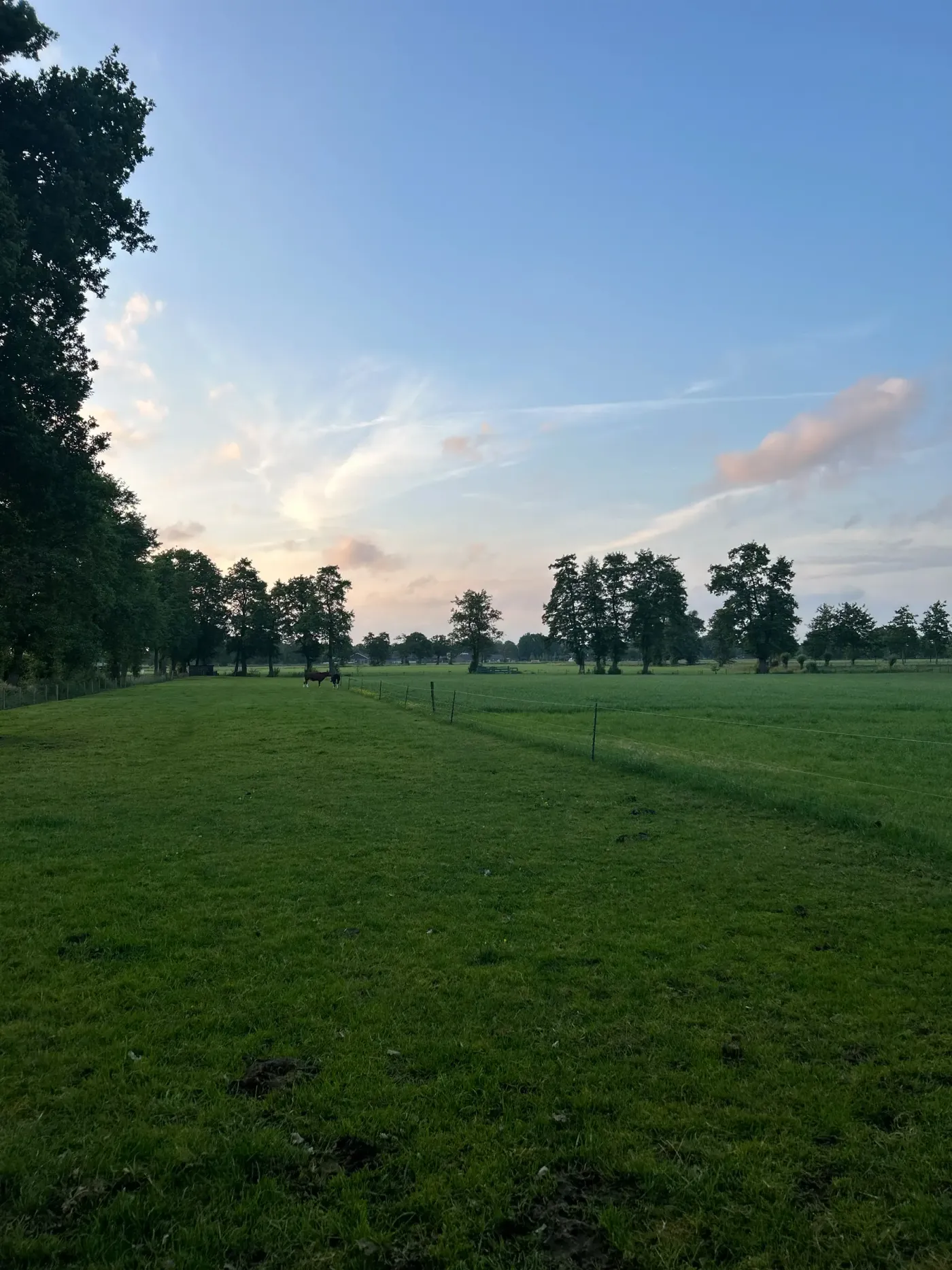 De Eiken Stek in Wekerom
