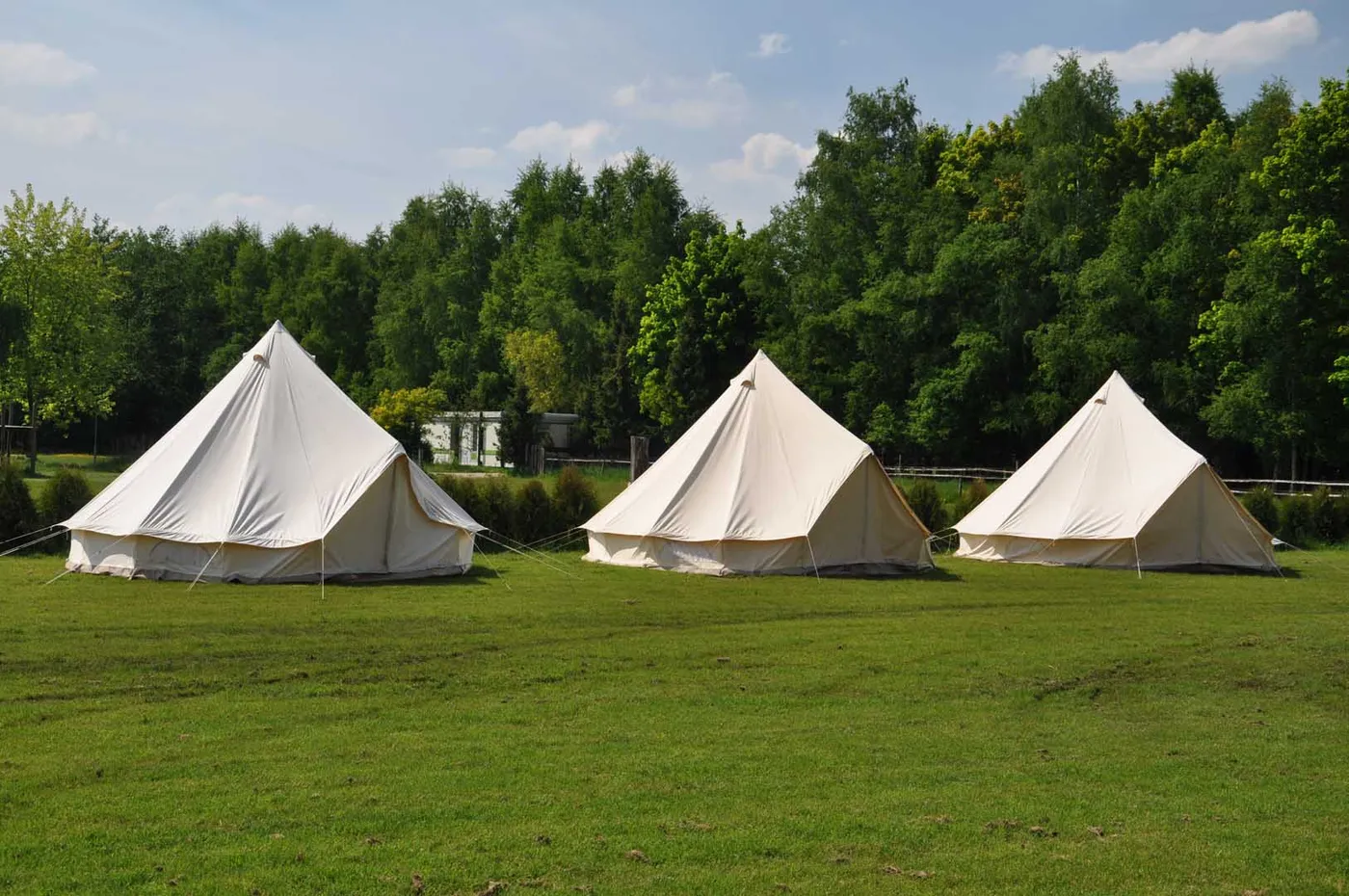 Groepsaccommodatie De Roerdomp in Westelbeers
