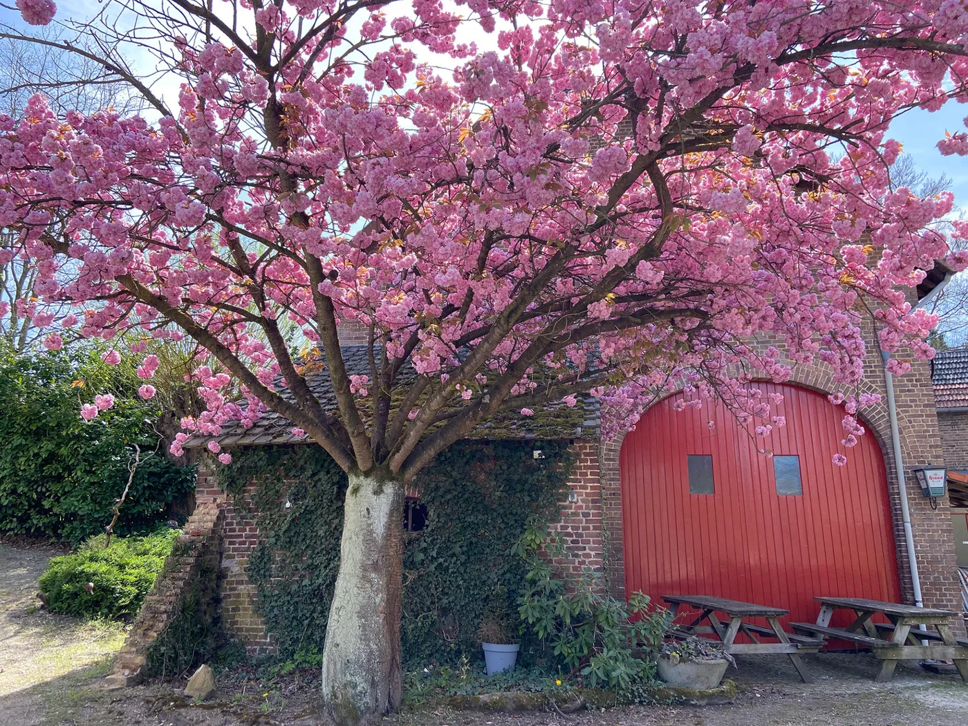 Groepsaccommodatie Struchterhof in Schin op Geul