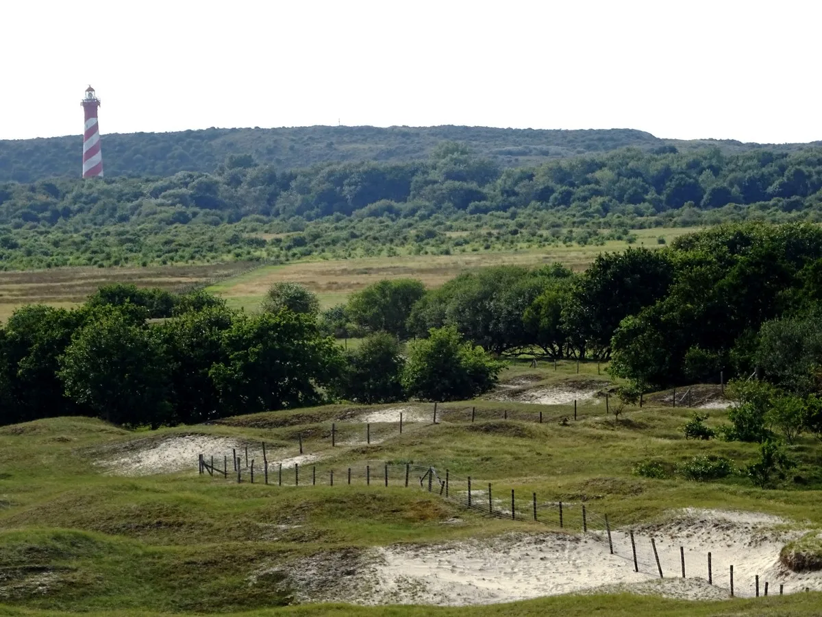 In de Boogerd in Burgh-Haamstede