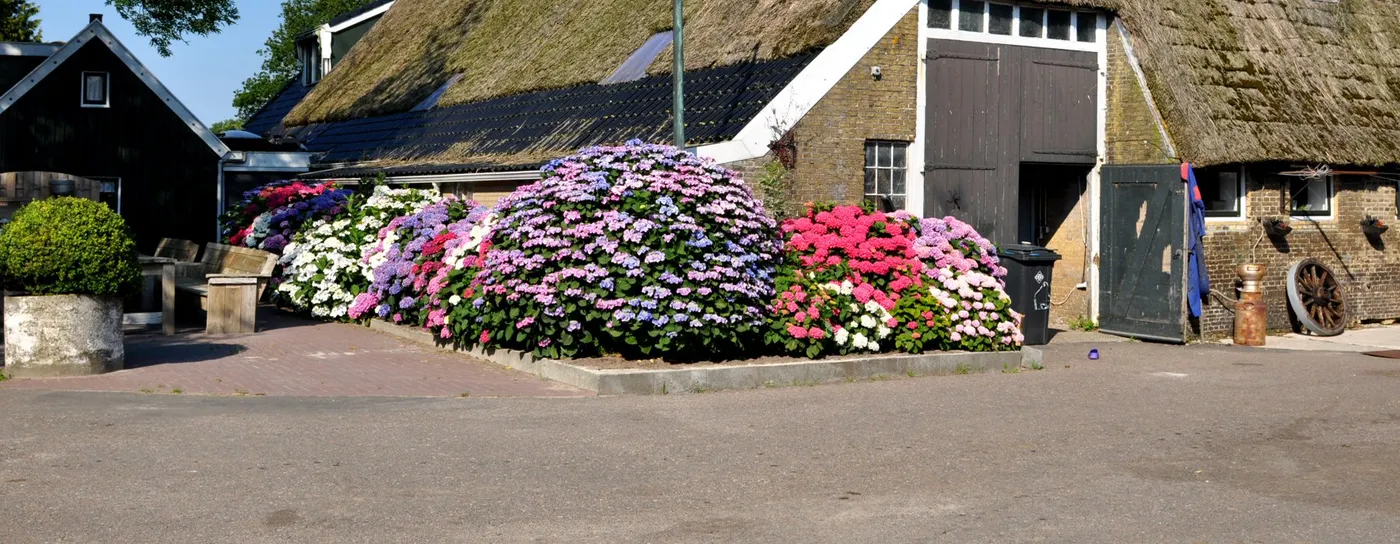 Vakantie- en kampeerboerderij "Groen" in Oudemirdum