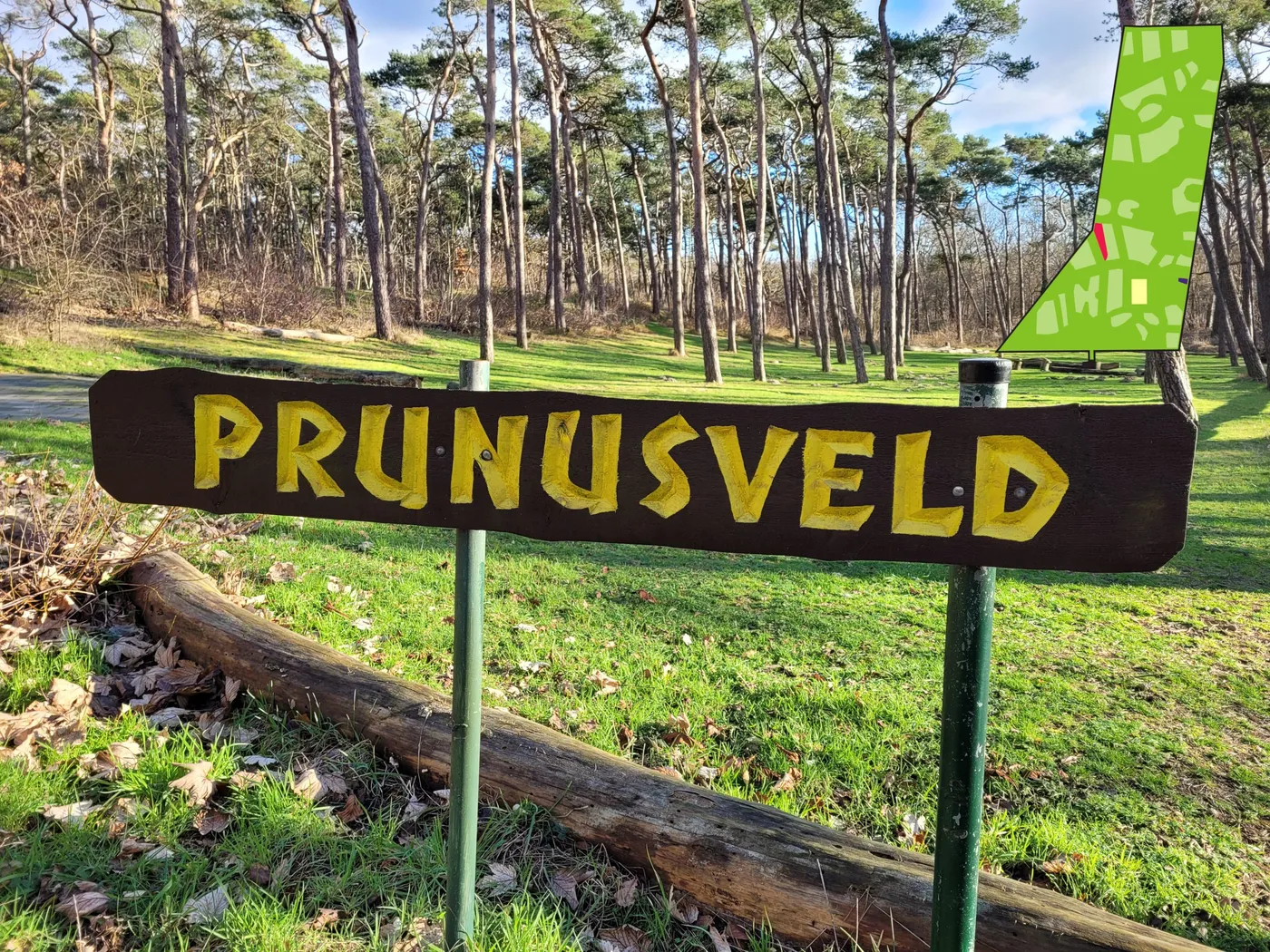 Scouting Labelterrein Het Naaldenveld in Aerdenhout