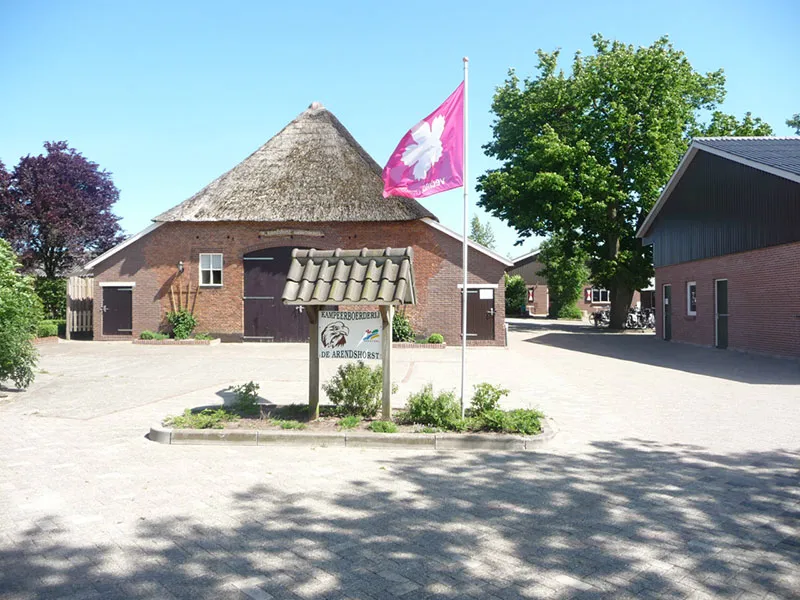 Outdoor Schoolkamp Ommen in Ommen