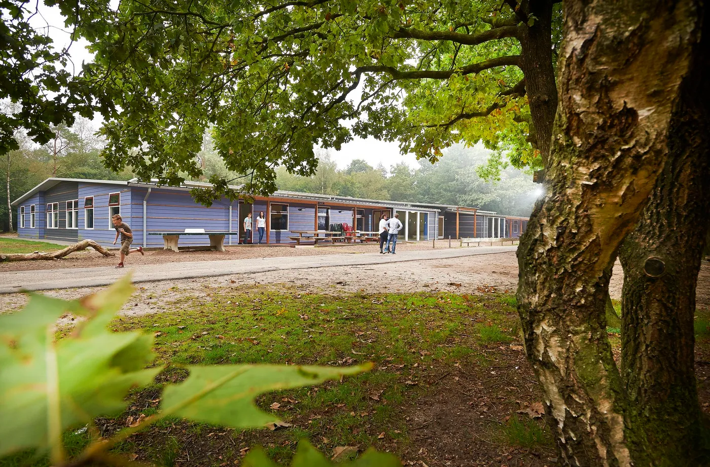 Paasheuvelgroep Austerlitz: terrein en gebouwen