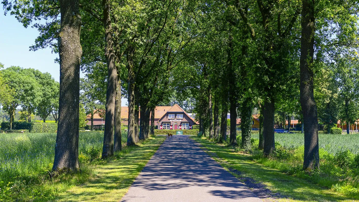 Scoutinggebouw De Kievit in Esbeek
