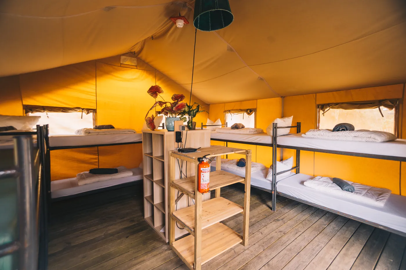 Surfana Vlieland in Vlieland