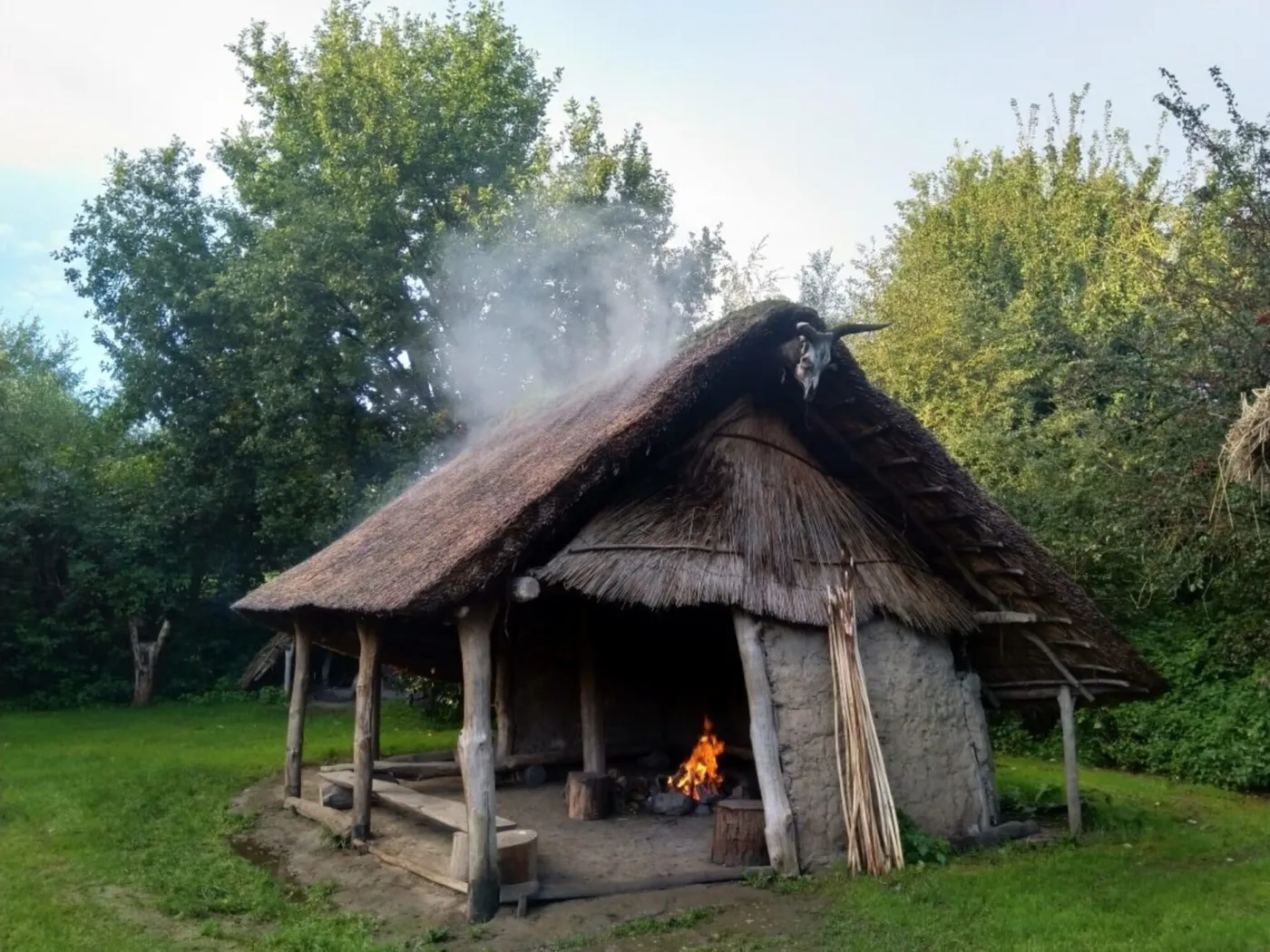 Swifterkamp in Lelystad
