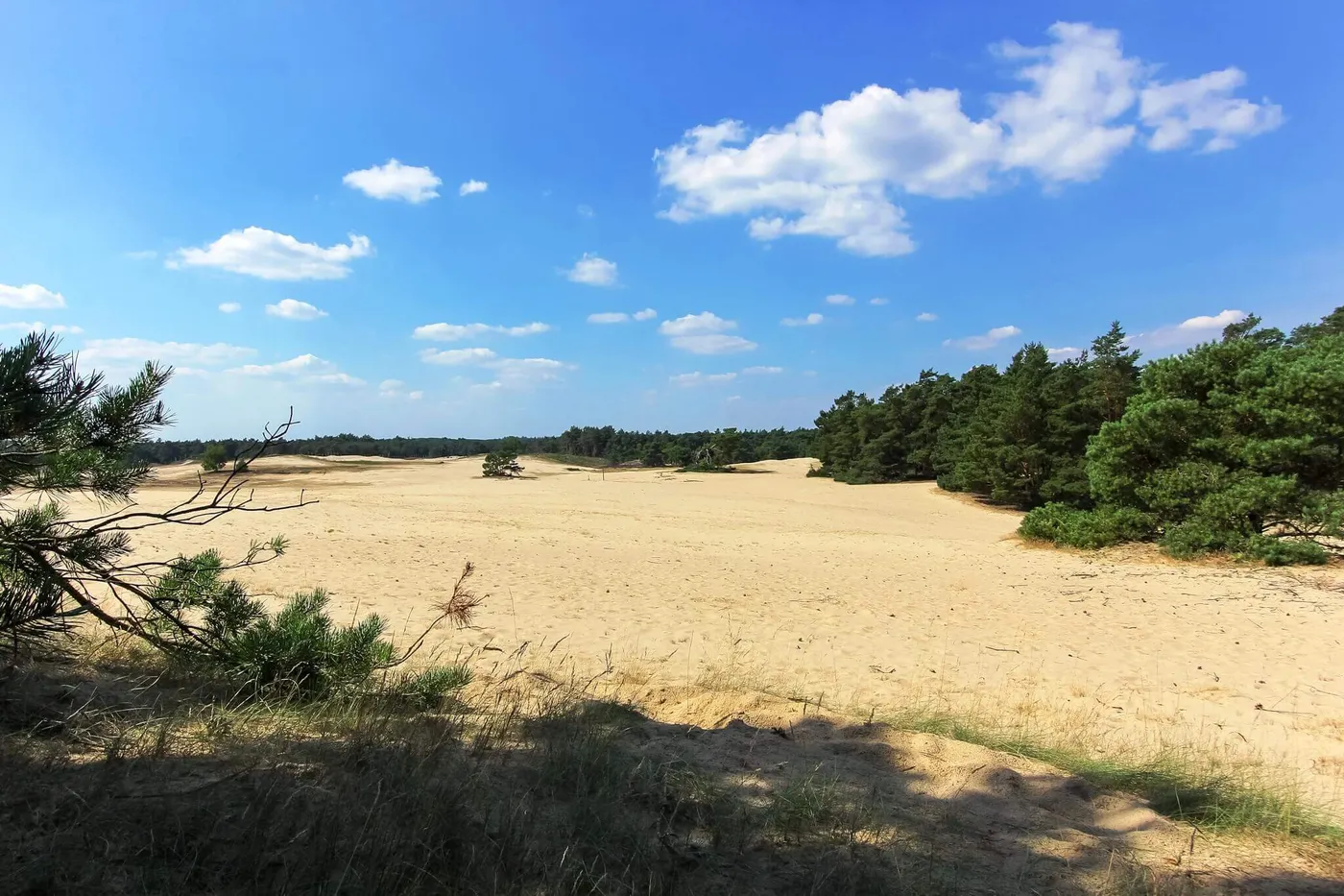't Campvelt in Doornspijk