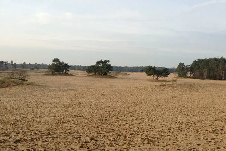 't Campvelt in Doornspijk