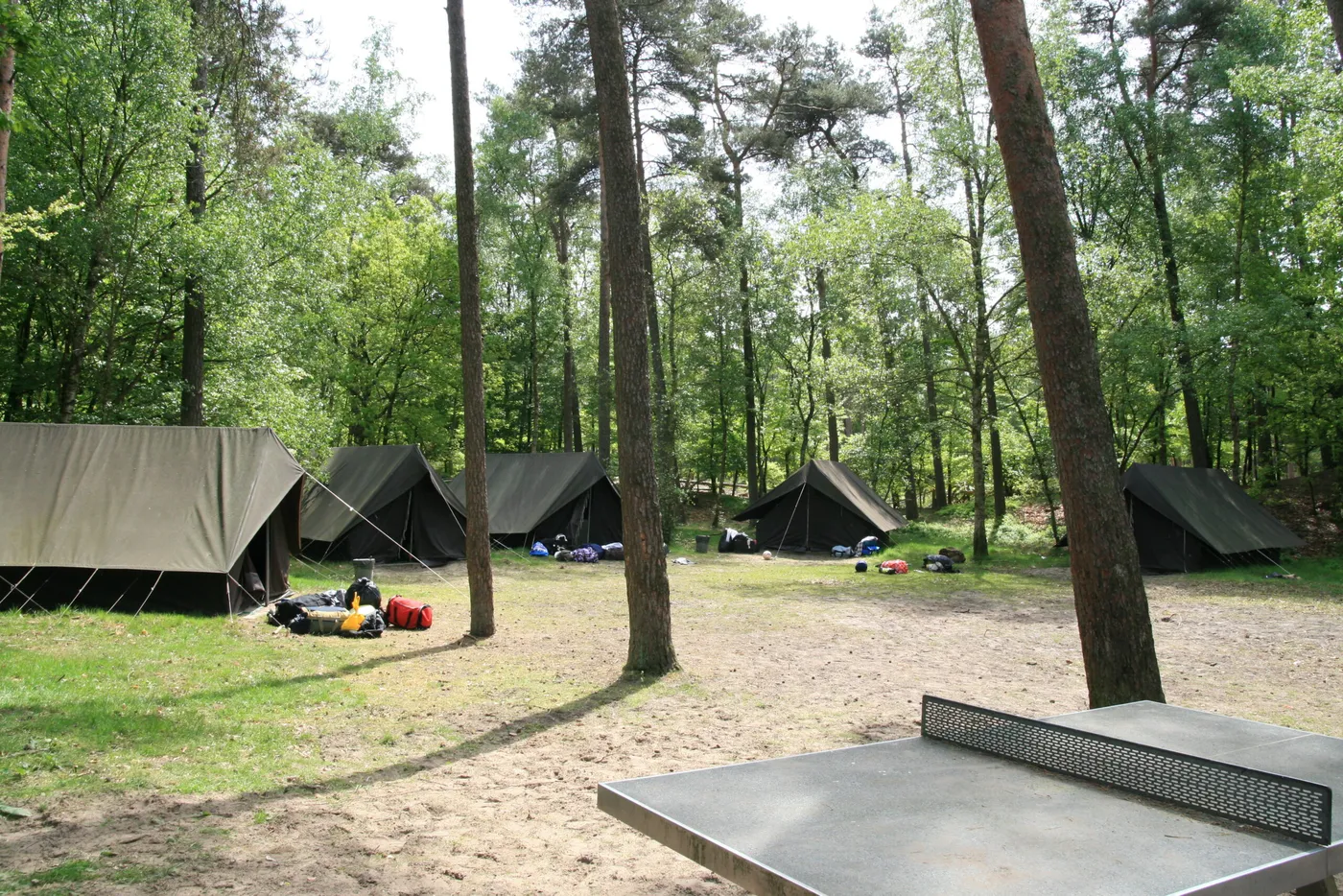 YMCA Kampeercentrum Hulshorst in Hulshorst