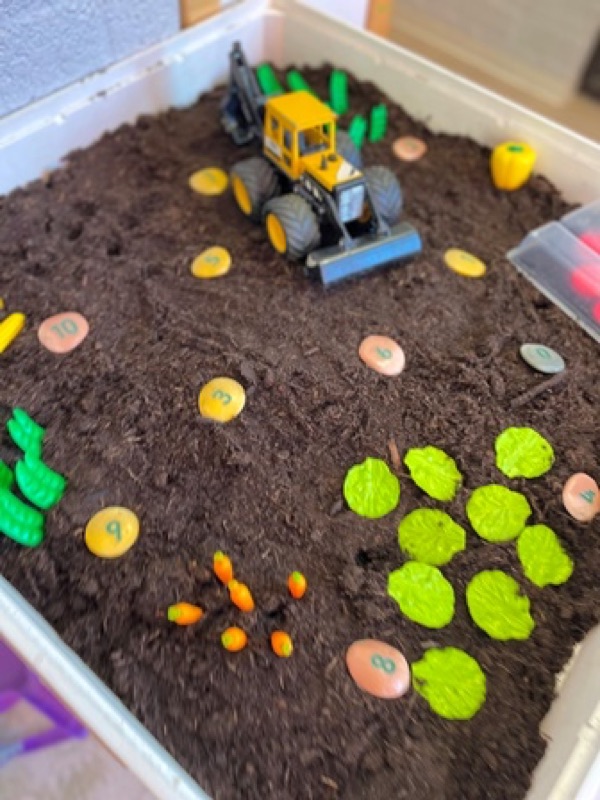 Voorbeeld van Groentetuin of akker in de zandtafel