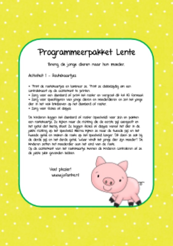 Voorbeeld van Programmeerpakket lente