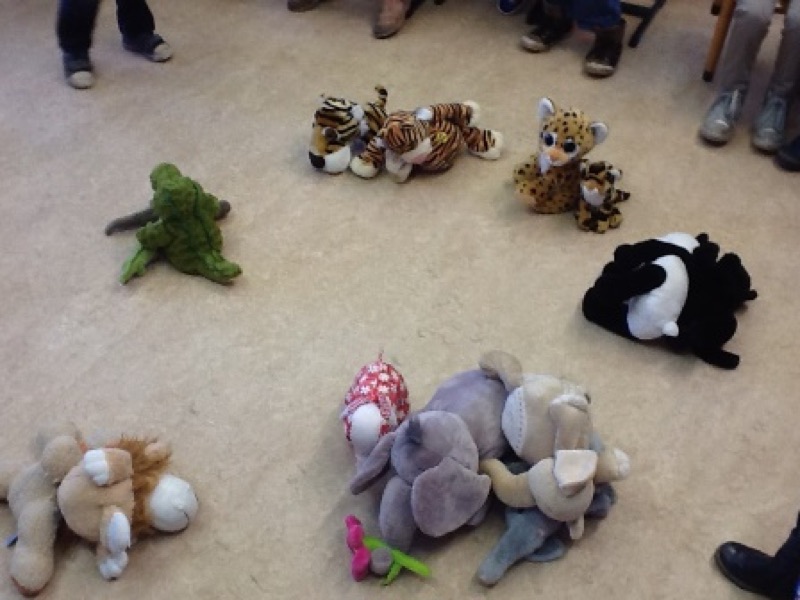 Voorbeeld van Dierentuindieren classificeren