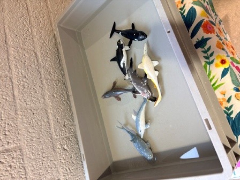 Voorbeeld van Watertafel zeedieren