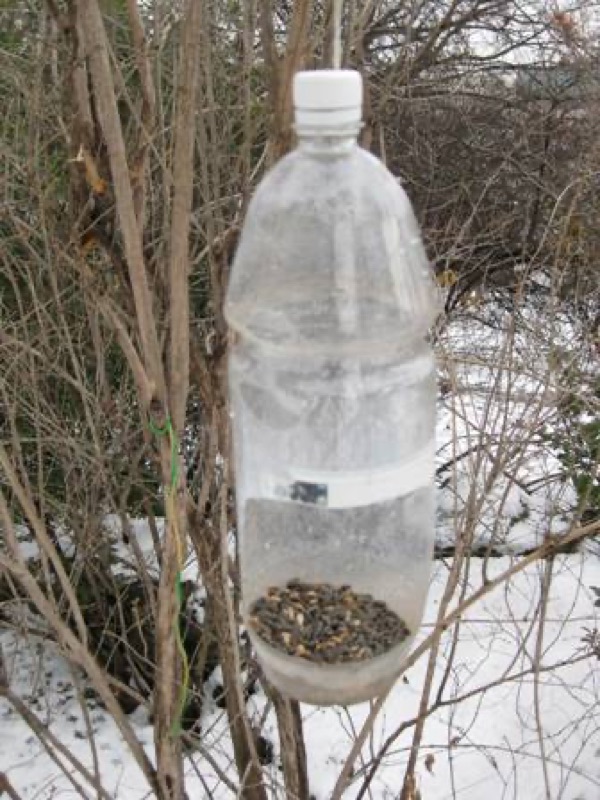 Voorbeeld van Voer voor de vogels