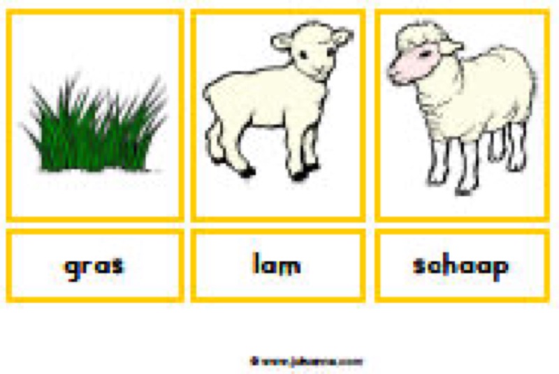 Voorbeeld van Woordkaarten boerderij