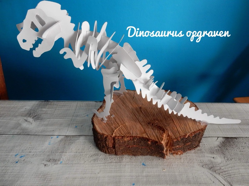 Voorbeeld van Dinoskelet opgraven en in elkaar zetten